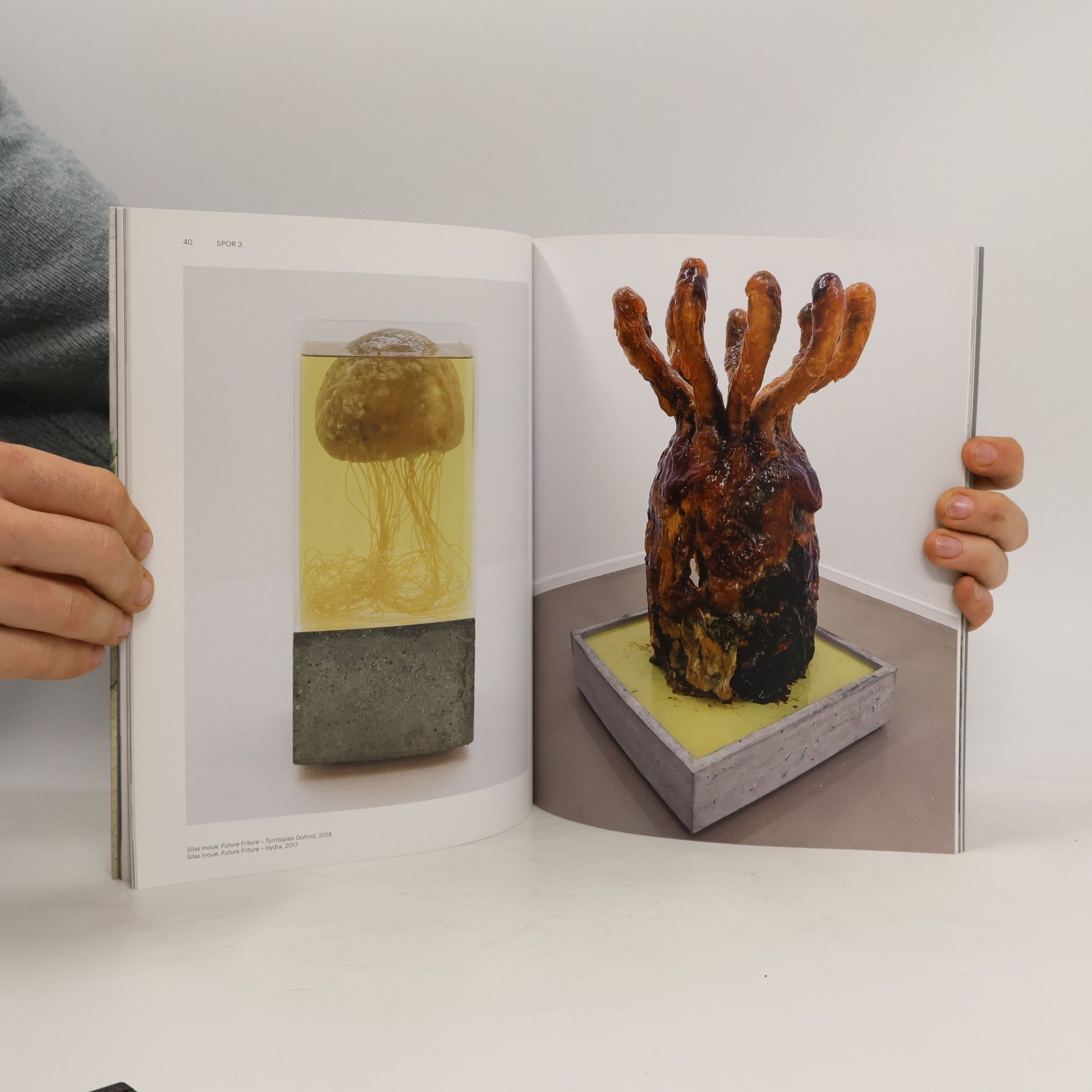 Dea Antonsen Ung Dansk kunst