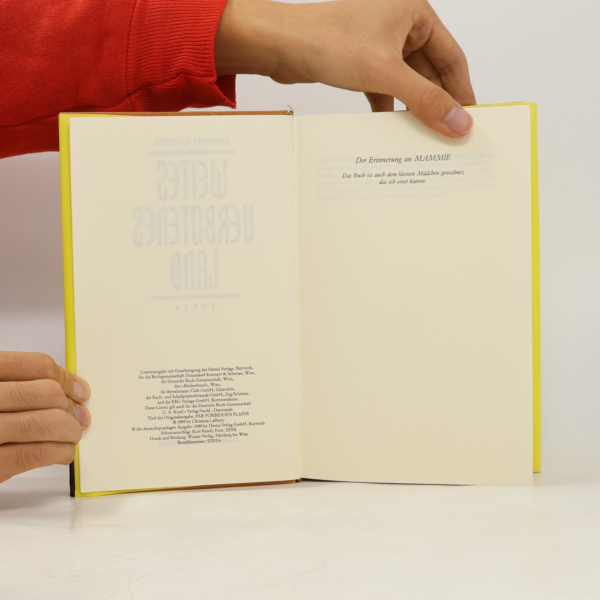 Christina Laffeaty Weites verbotenes Land