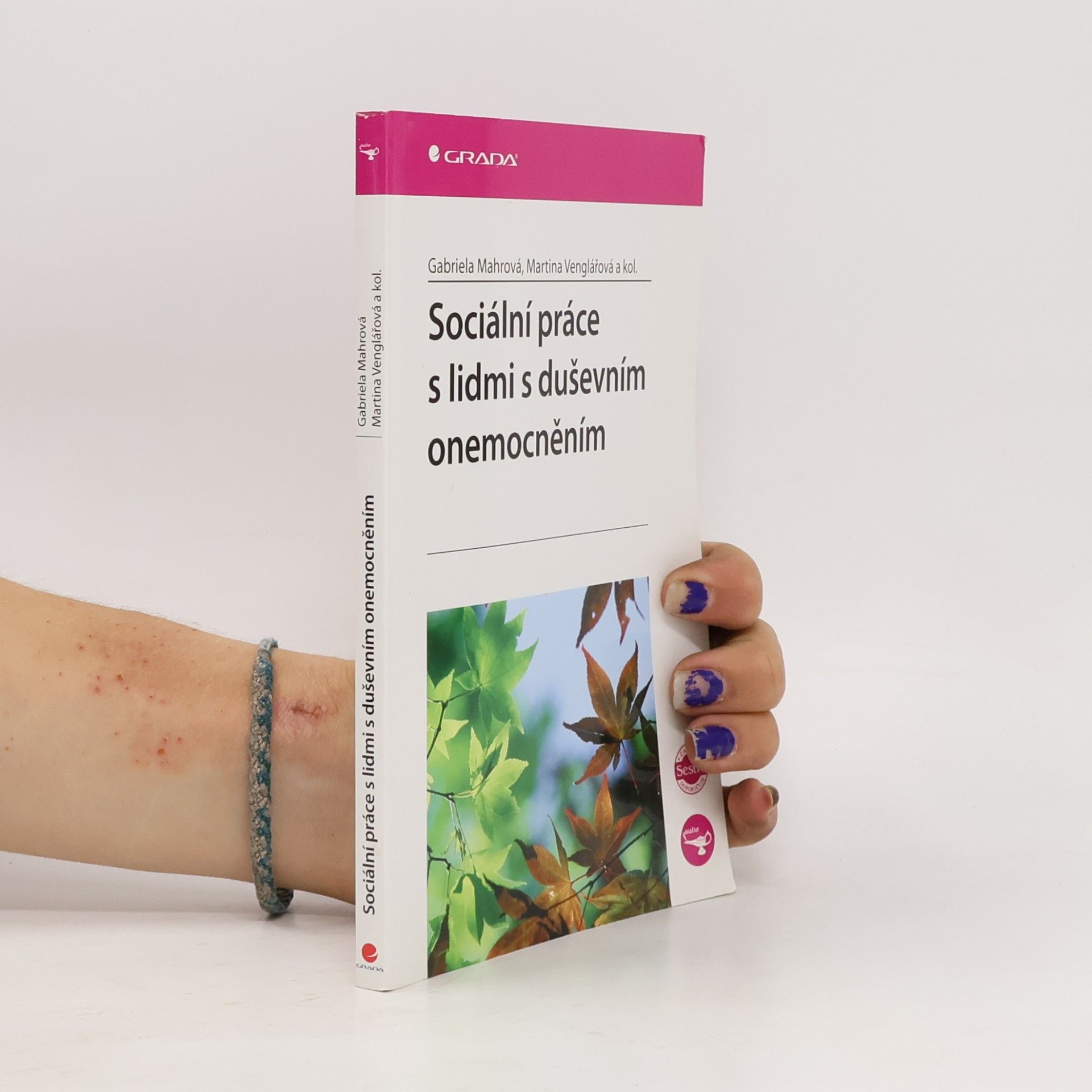 Gabriela Mahrová Sociální práce s lidmi s duševním onemocněním
