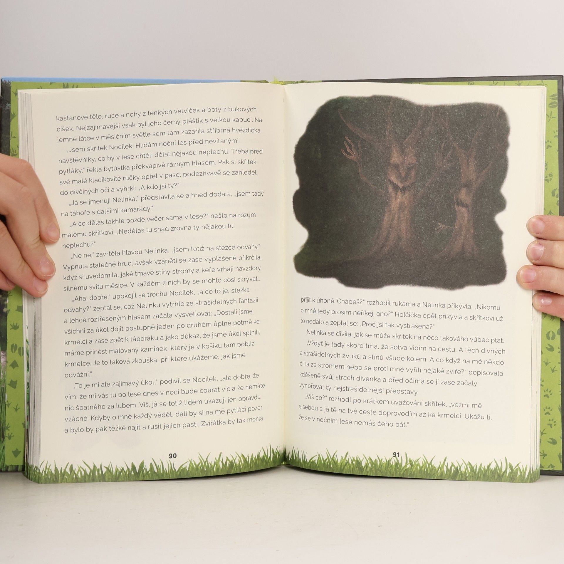 Stanislava Šejblová Abecedou za přírodou 2