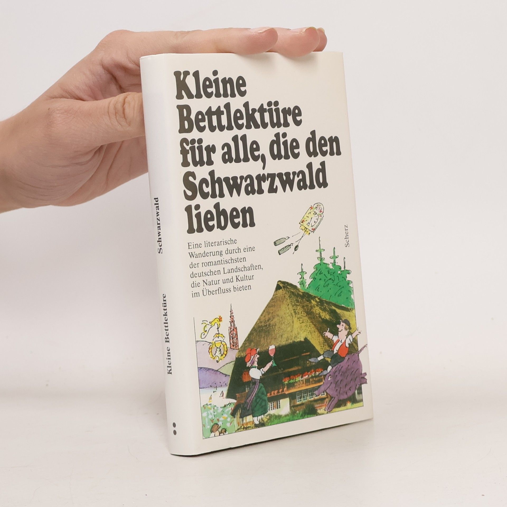 Katharina Steiner Kleine Bettlektüre für alle, die den Schwarzwald lieben