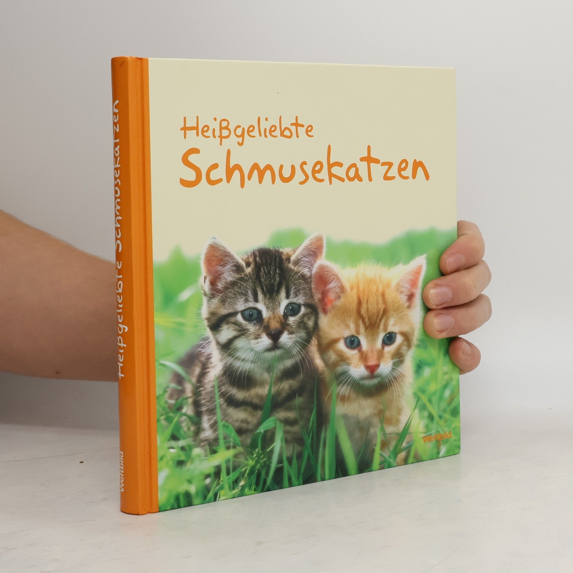 Monika Auberger Heißgeliebte Schmusekatzen