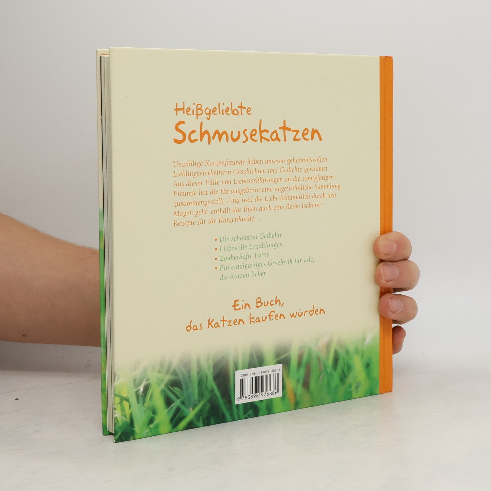 Monika Auberger Heißgeliebte Schmusekatzen
