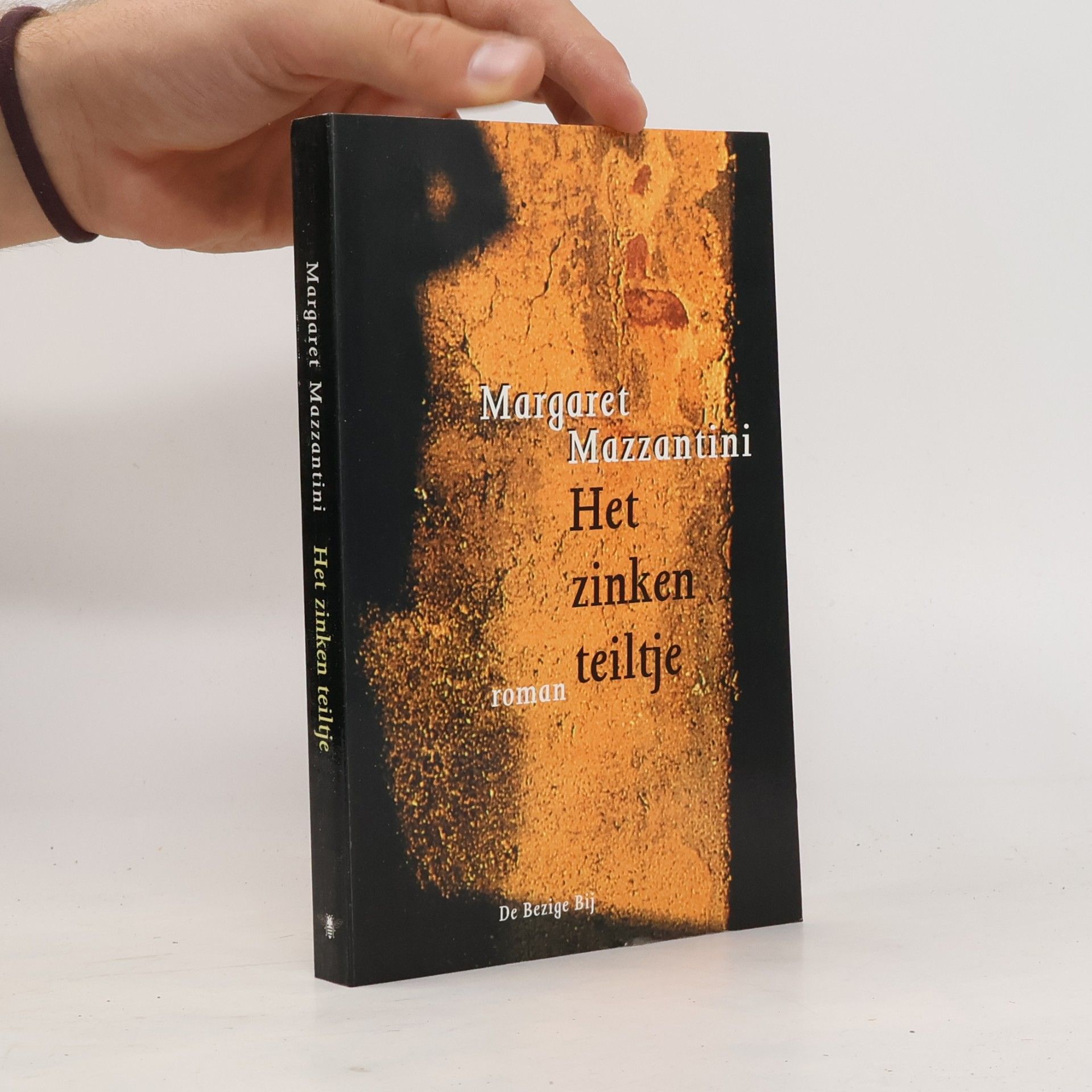 Els van der Pluym Het zinken teiltje