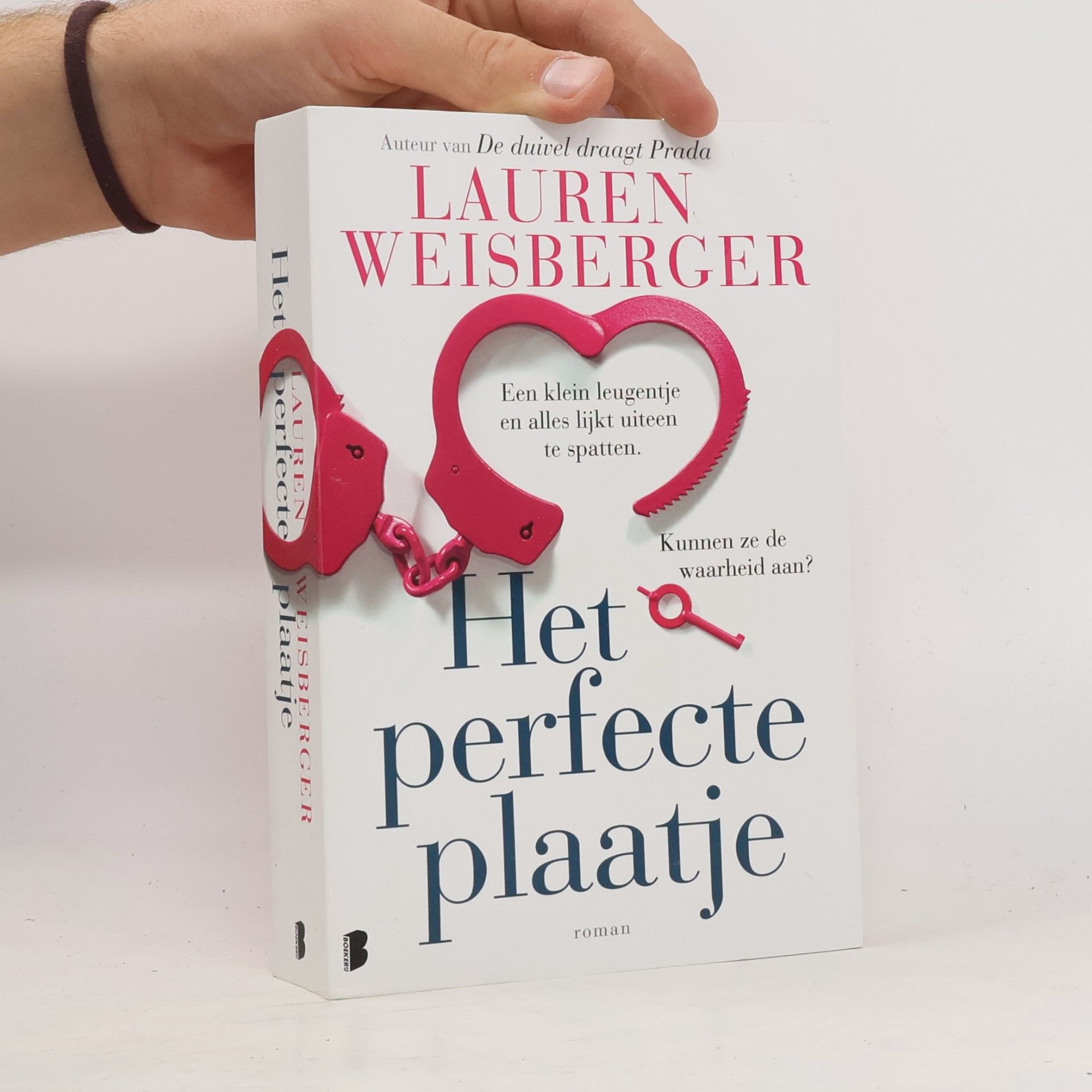Lauren Weisberger Het perfecte plaatje