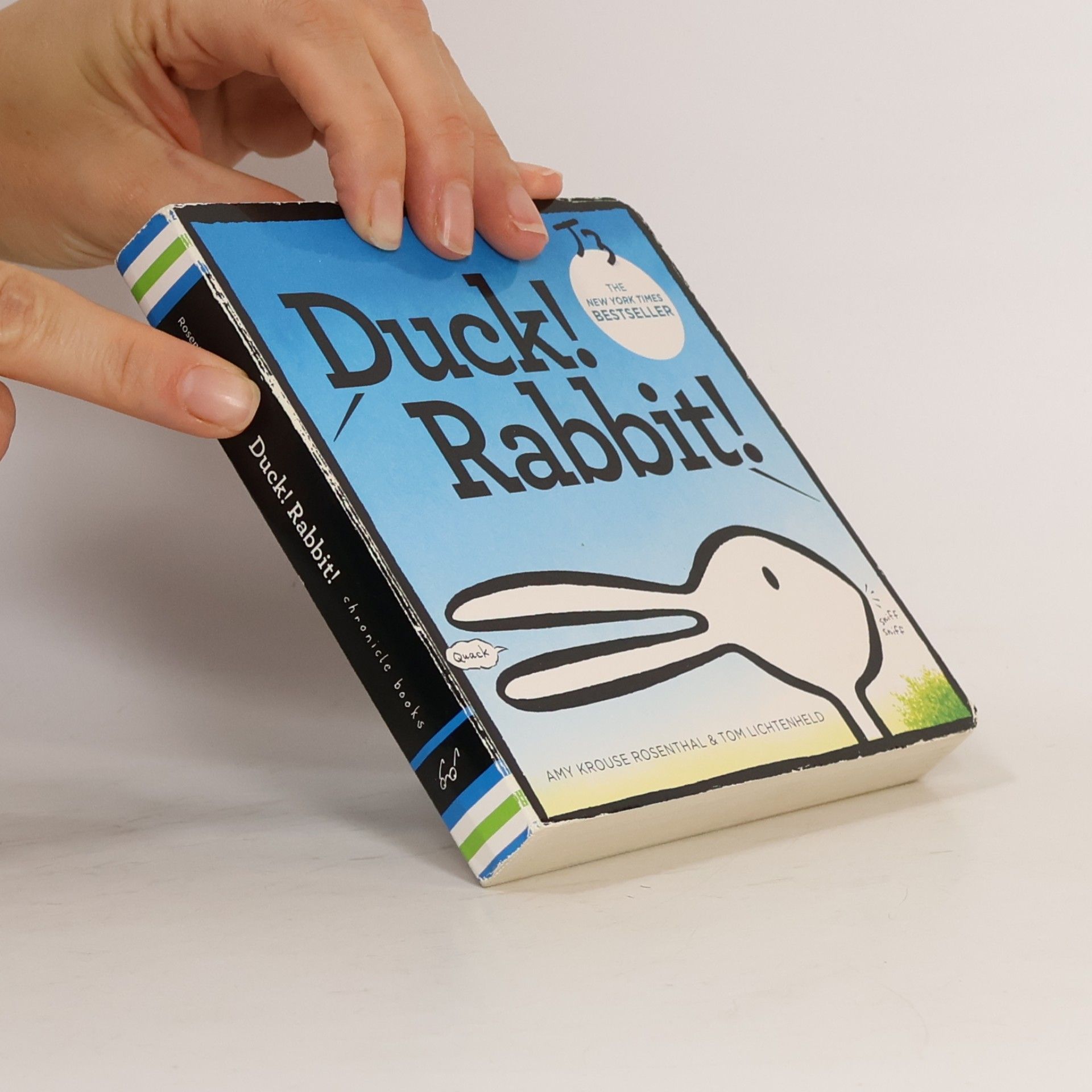 Amy Krouse Rosenthal Duck! Rabbit!