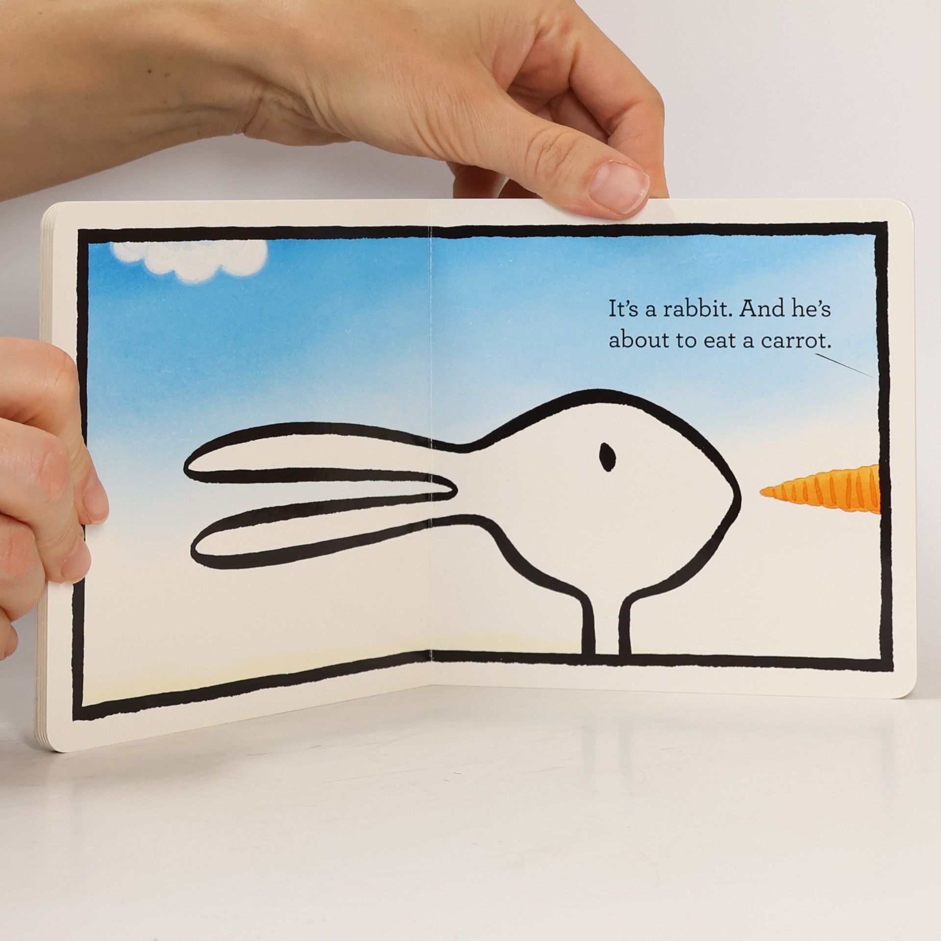Amy Krouse Rosenthal Duck! Rabbit!