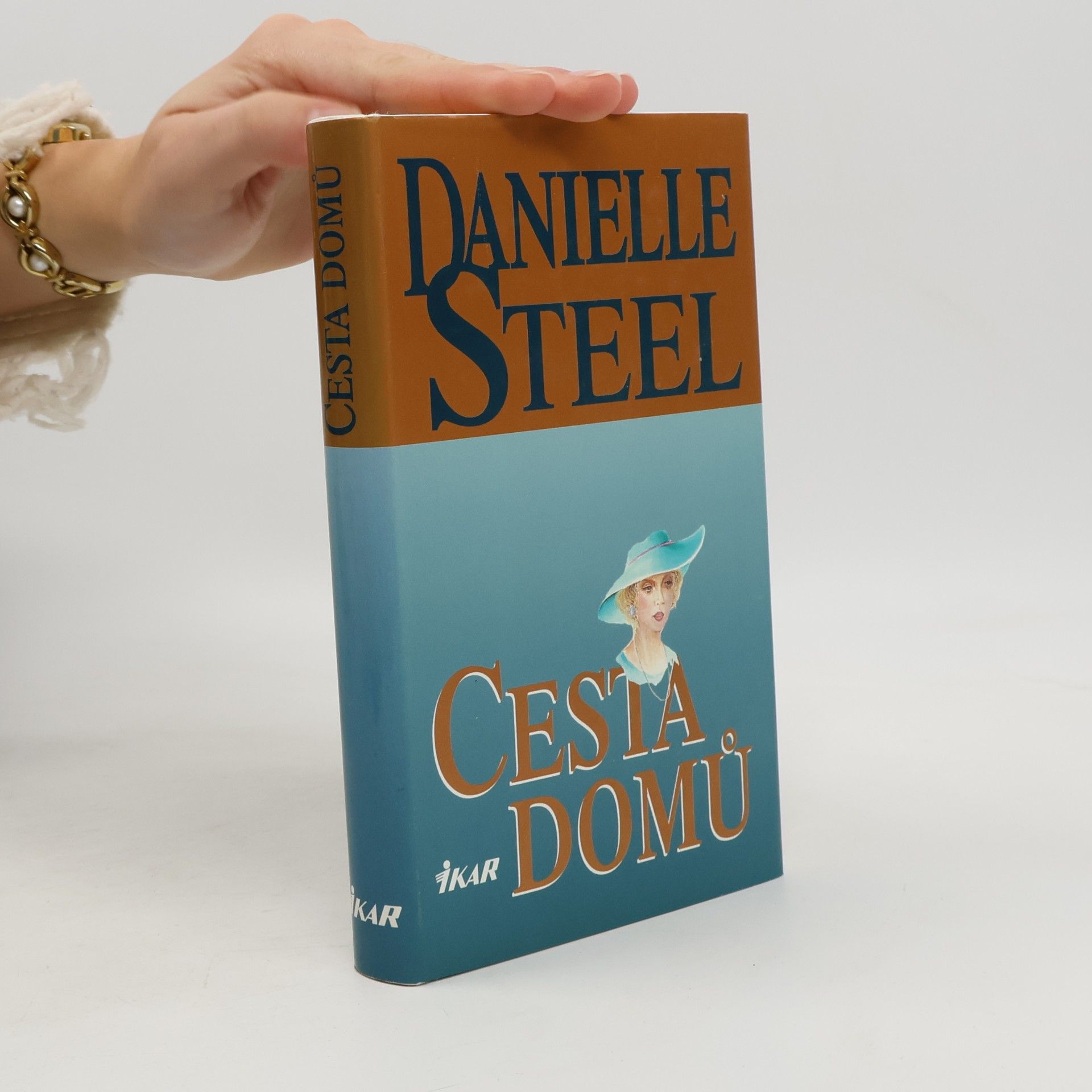 Cesta domů
