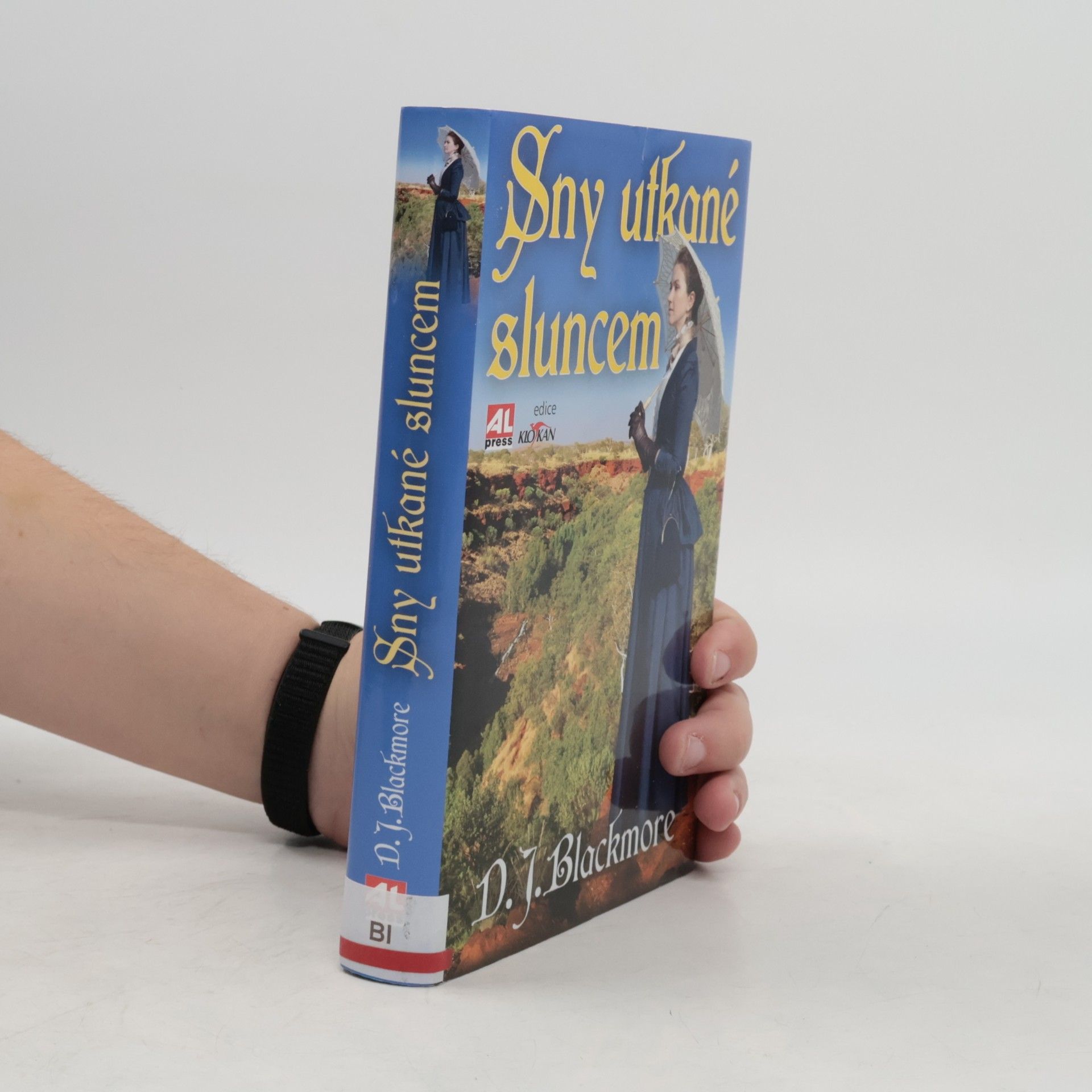 D.J. Blackmore Sny utkané sluncem