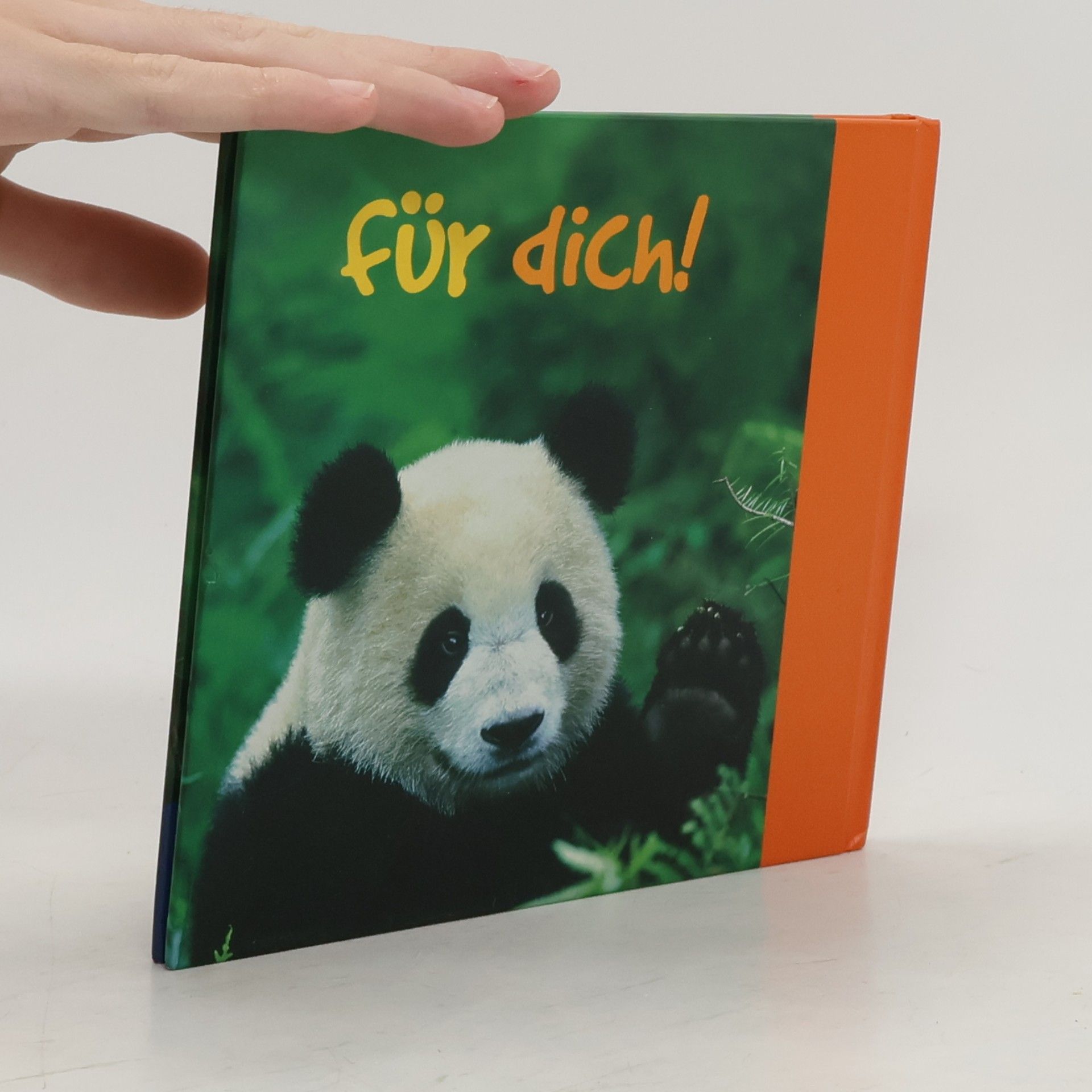 Autorenkollektiv Bärenstarke Wünsche