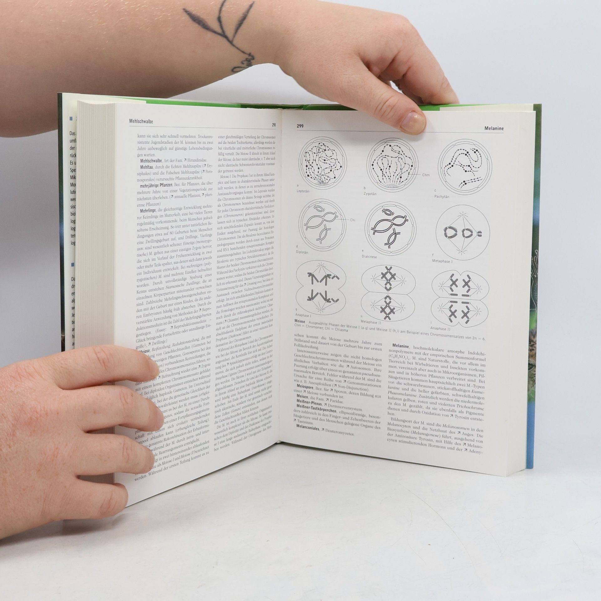 Autorenkollektiv Kompaktlexikon der Biologie 2