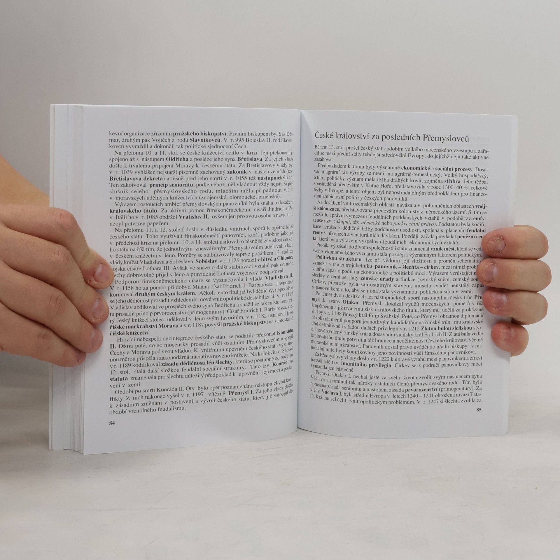 Zdeněk Veselý Přehled učiva k maturitě : dějepis