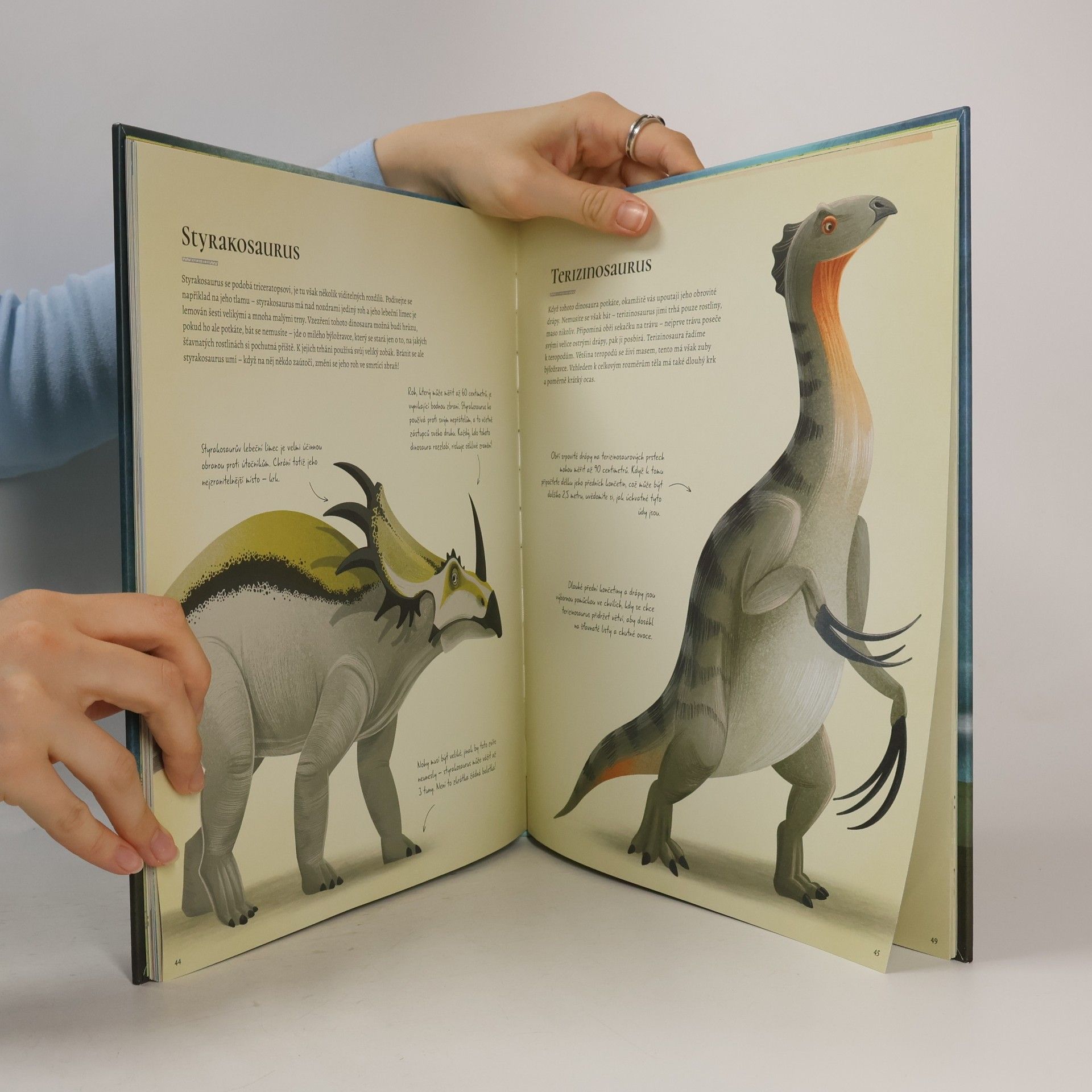 Federica Magrin Kniha plná dinosaurů : příručka zkušeného chovatele