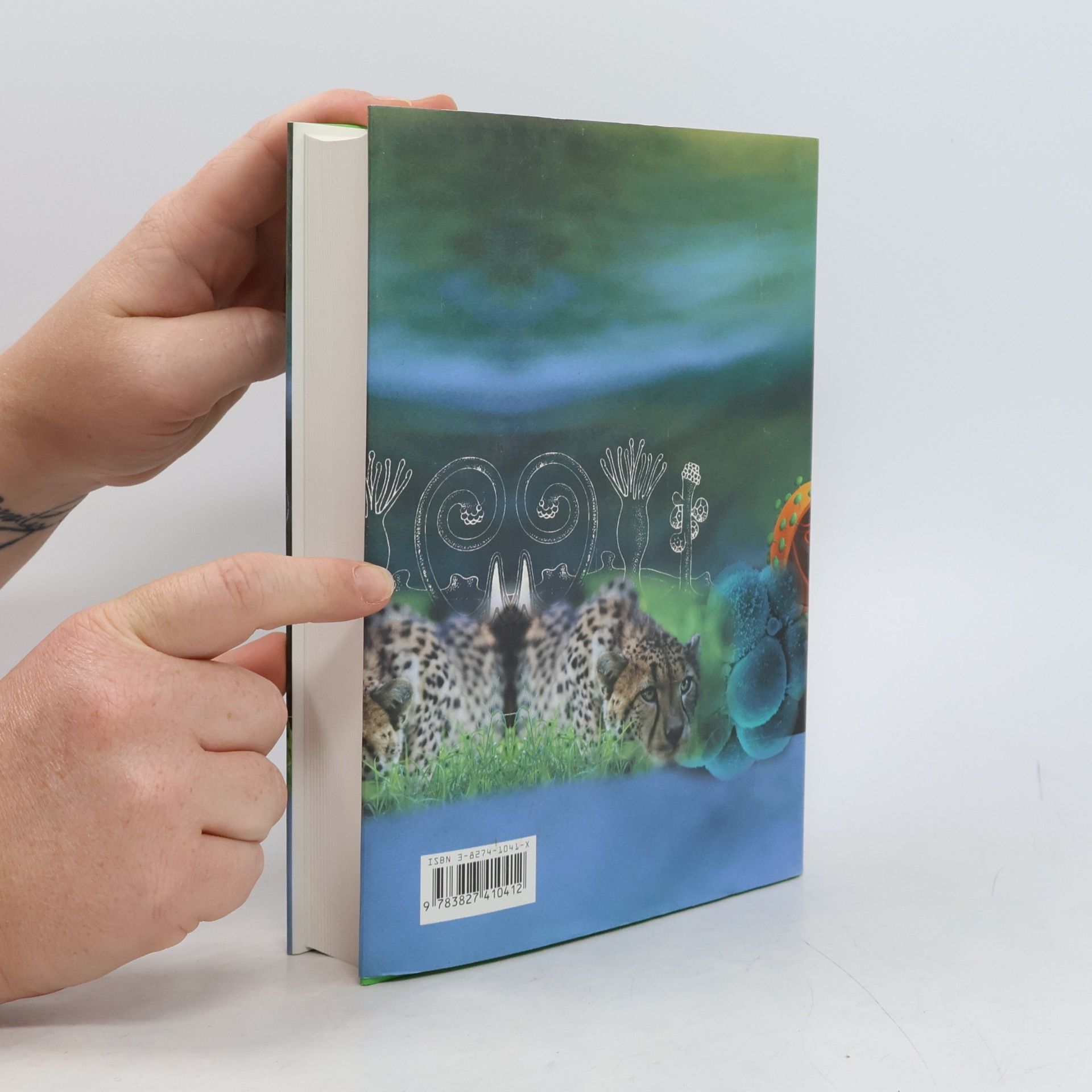 Autorenkollektiv Kompaktlexikon der Biologie 1. A bis Fotom