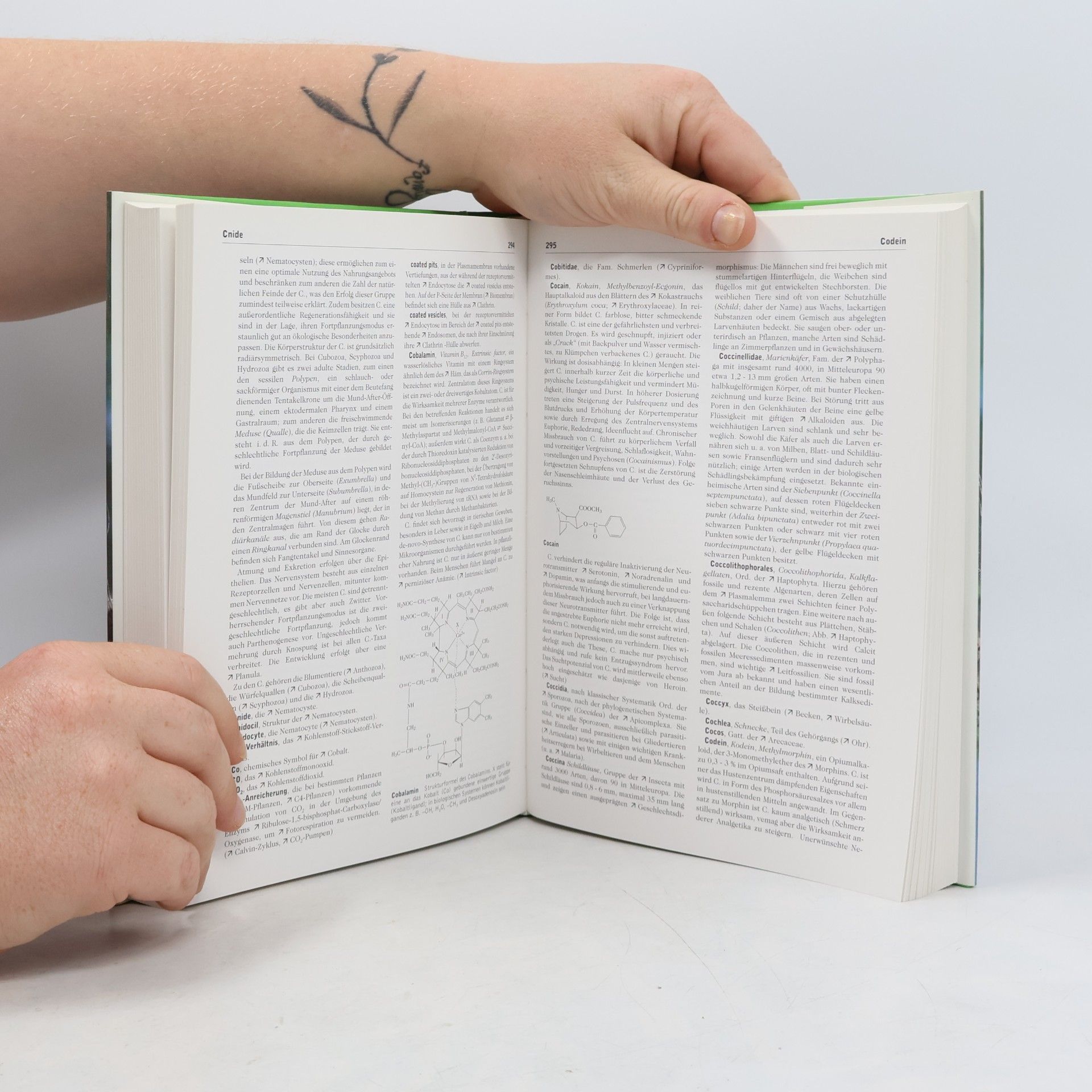 Autorenkollektiv Kompaktlexikon der Biologie 1. A bis Fotom