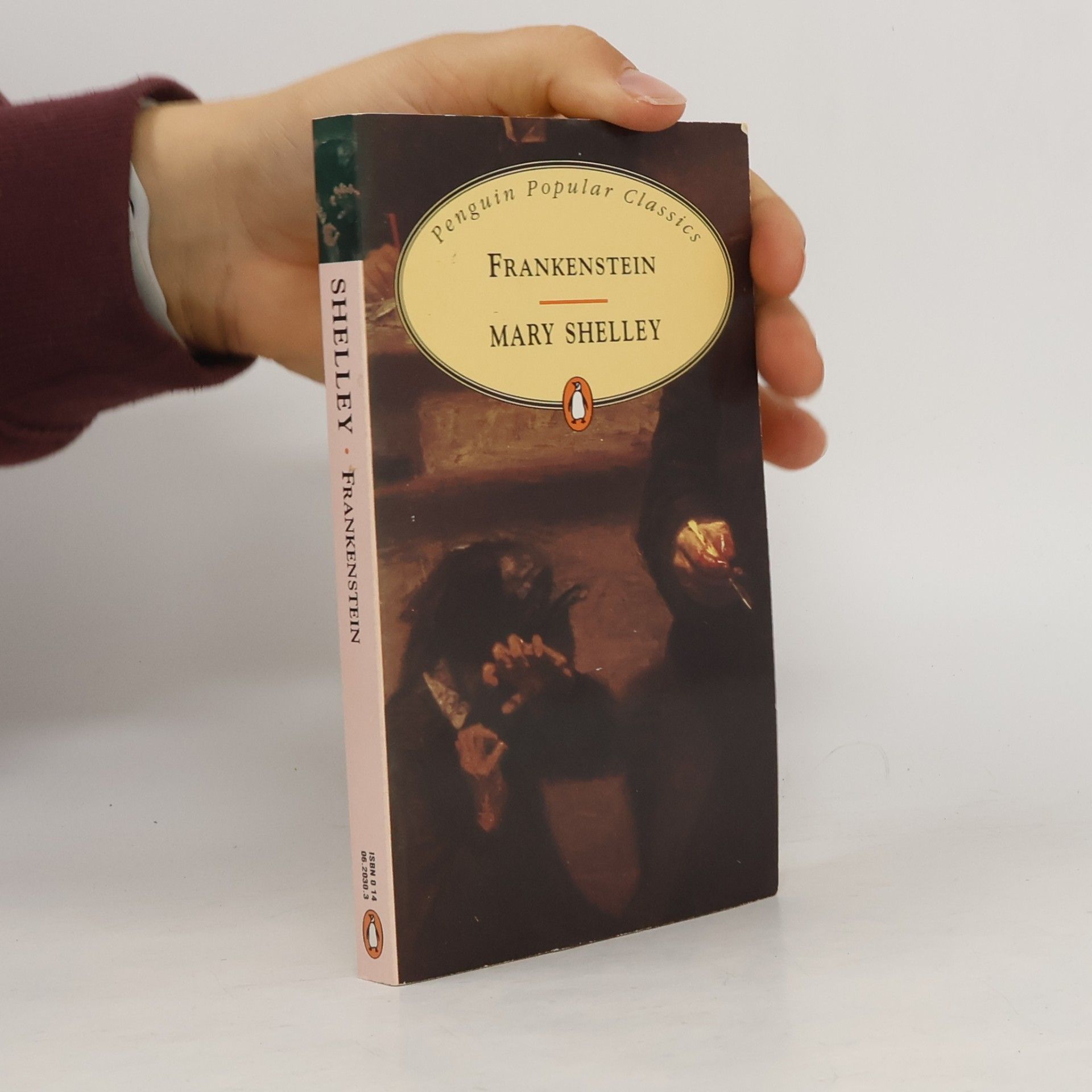 Mary Shelley Frankenstein