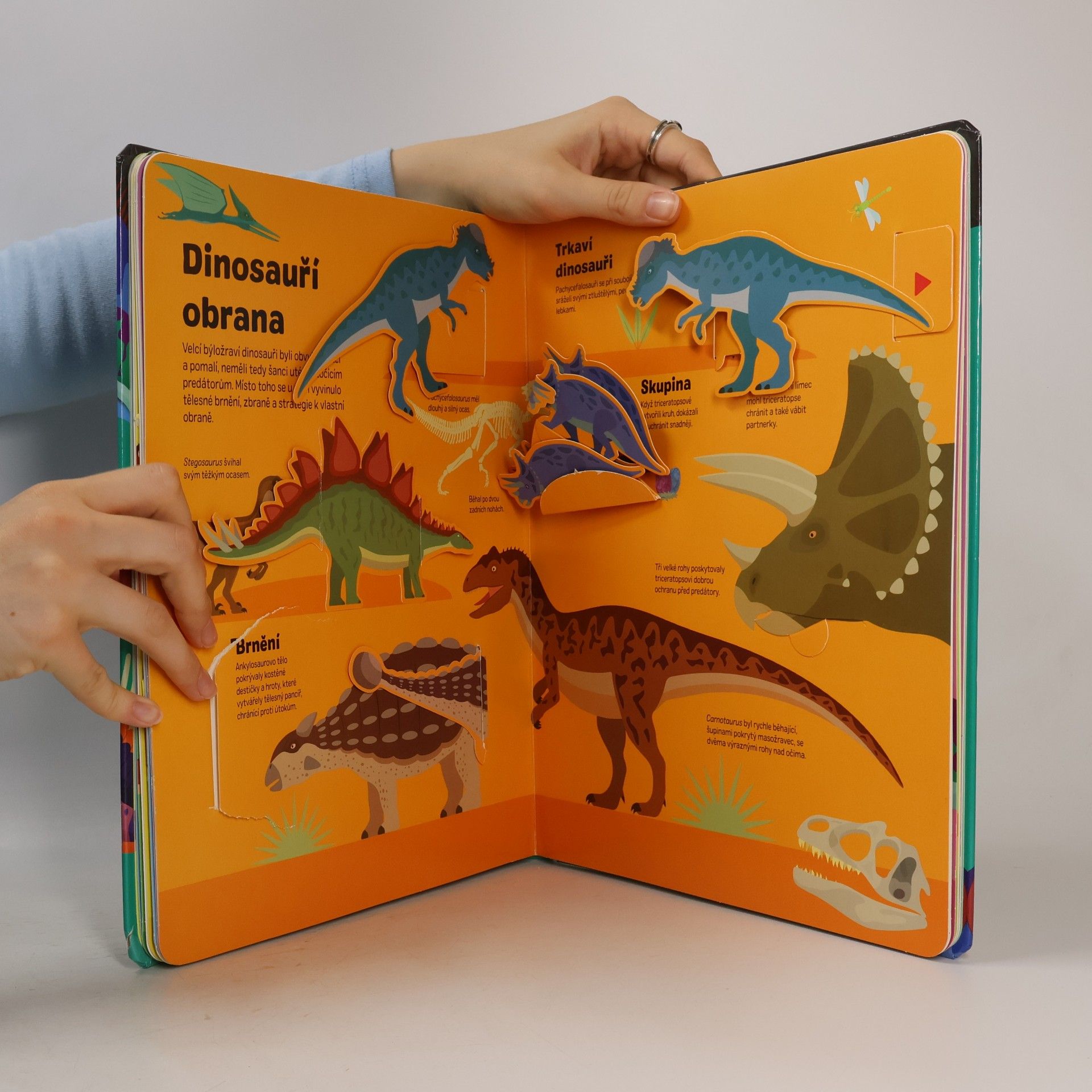 David Hawcock Dinosauři v pohybu