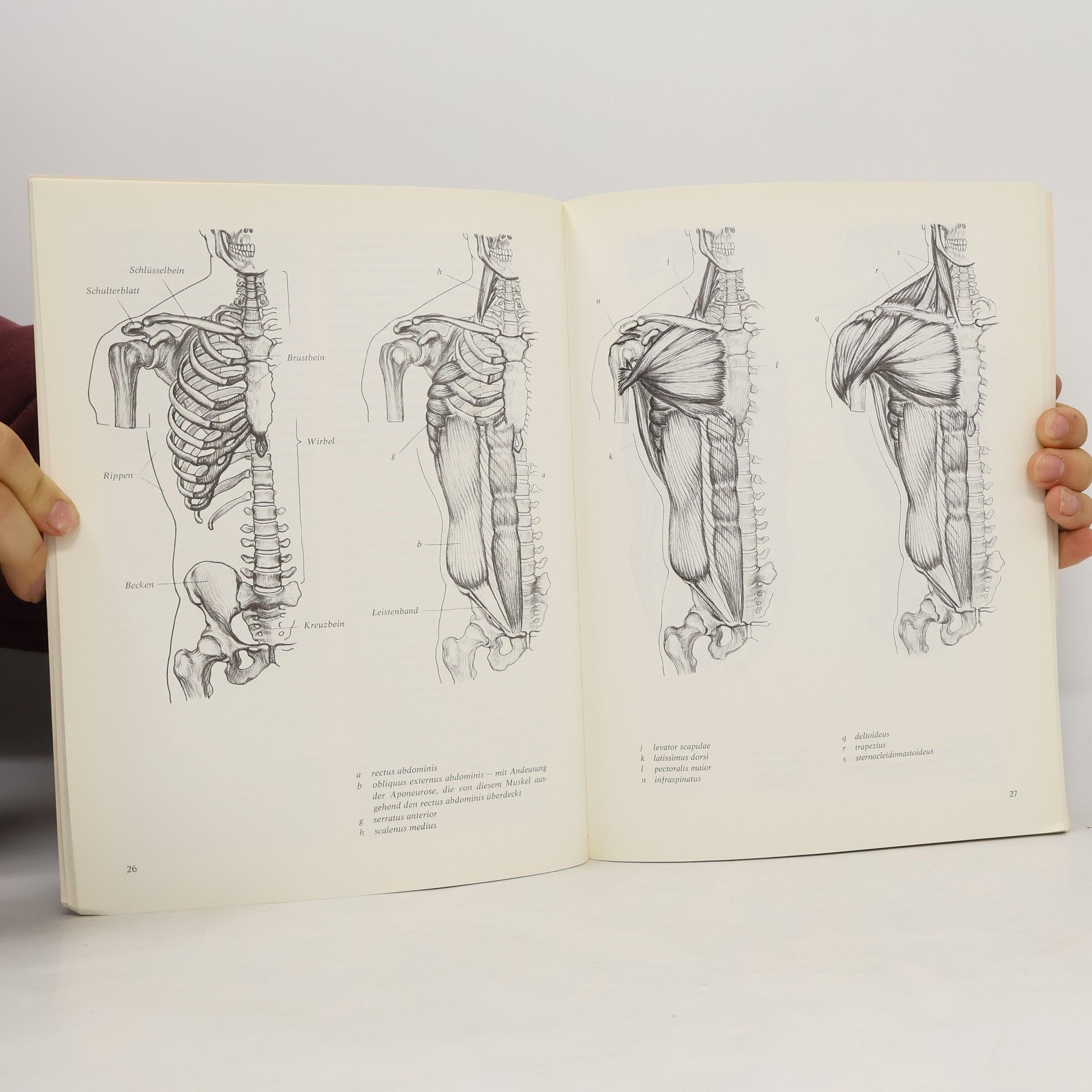 David K. Rubins Anatomie für Künstler