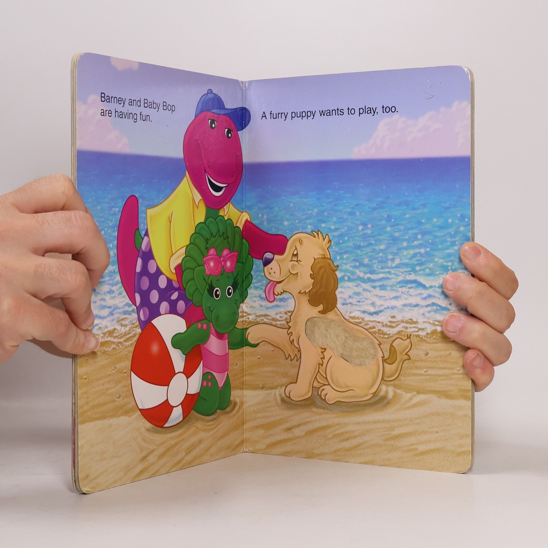 Mary Ann Dudko Barney and Baby Bop at the Beach