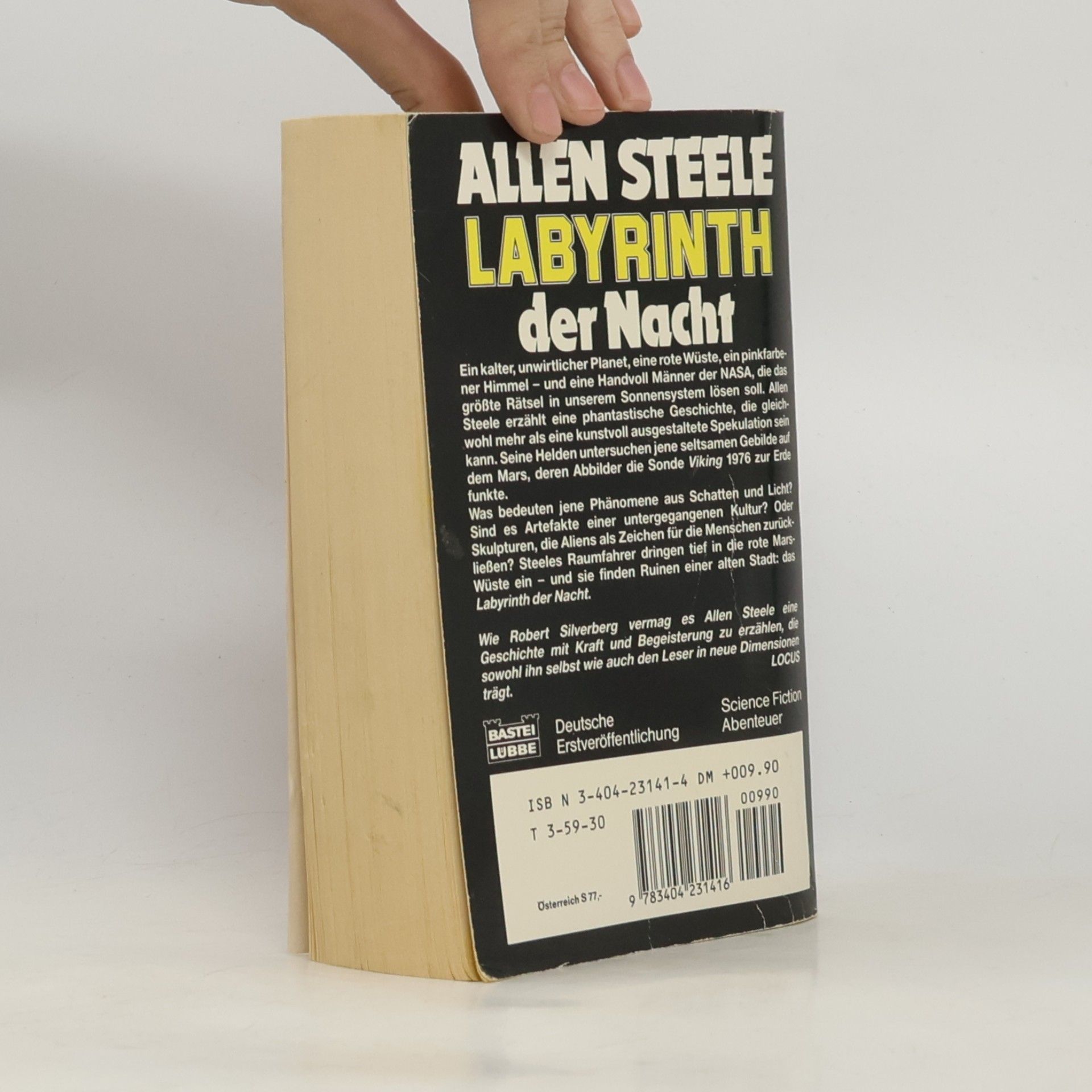 Allen Steele Labyrinth der Nacht