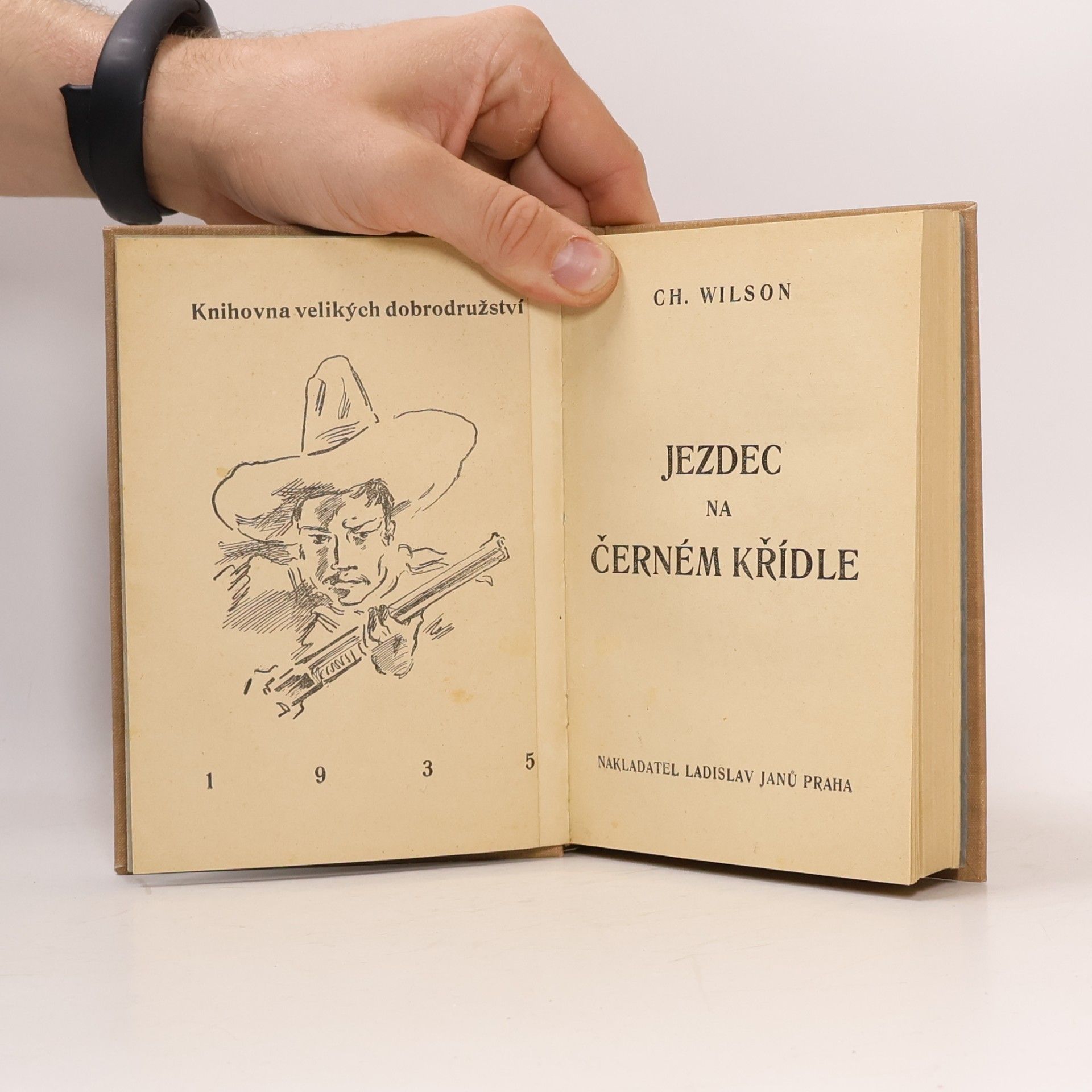 Cherry Wilson Jezdec na černém křídle