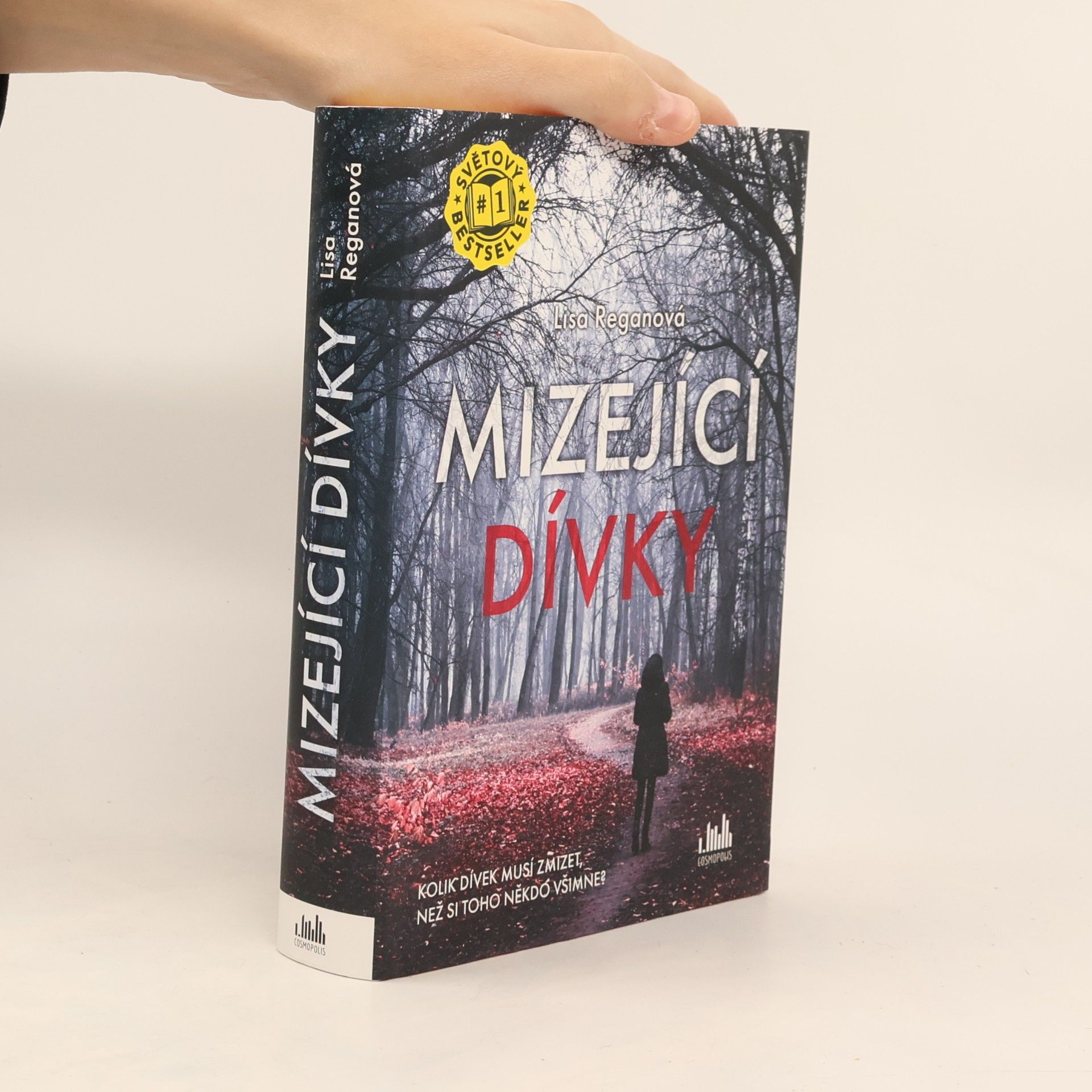 Lisa Regan Mizející dívky