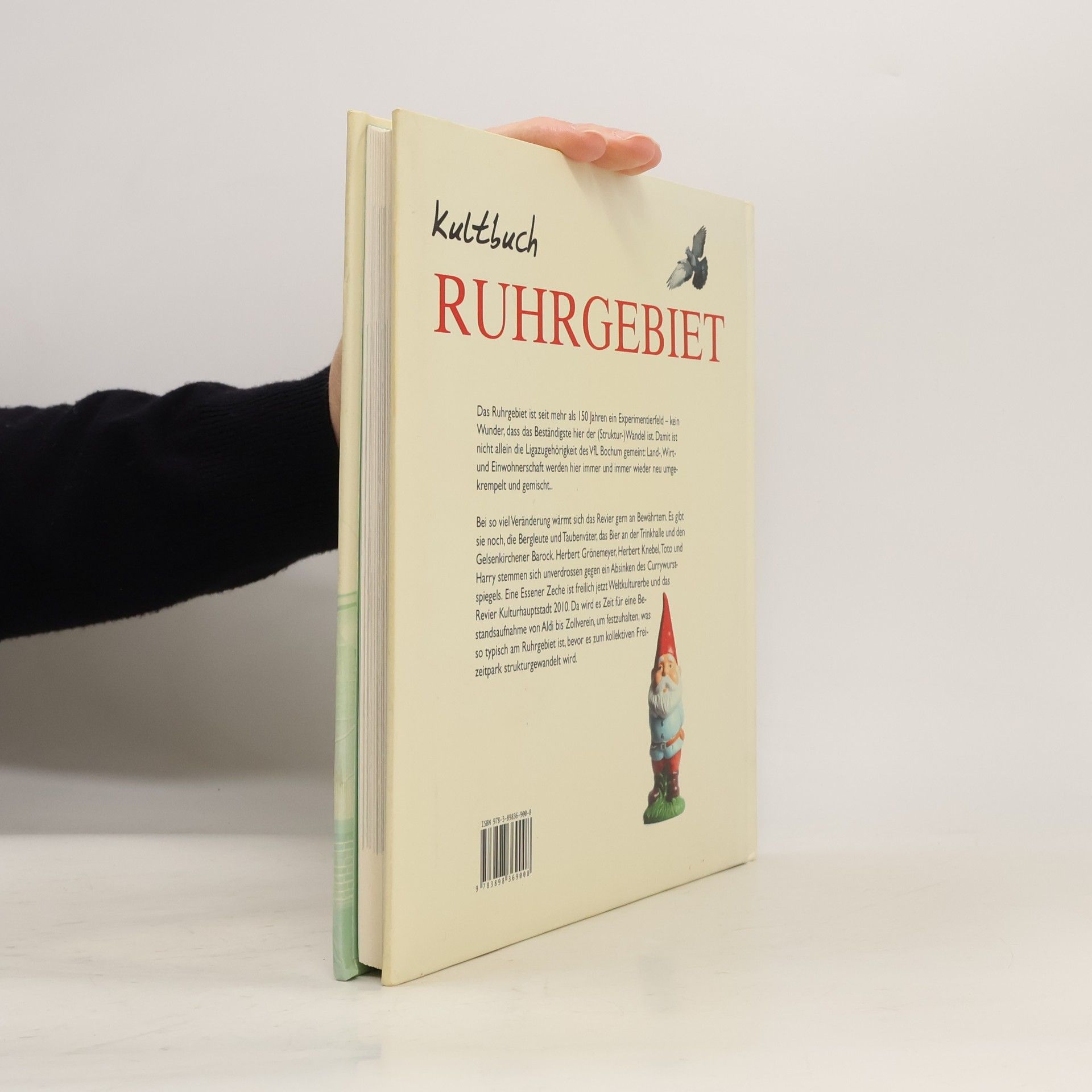 Patrick Bierther Kultbuch Ruhrgebiet