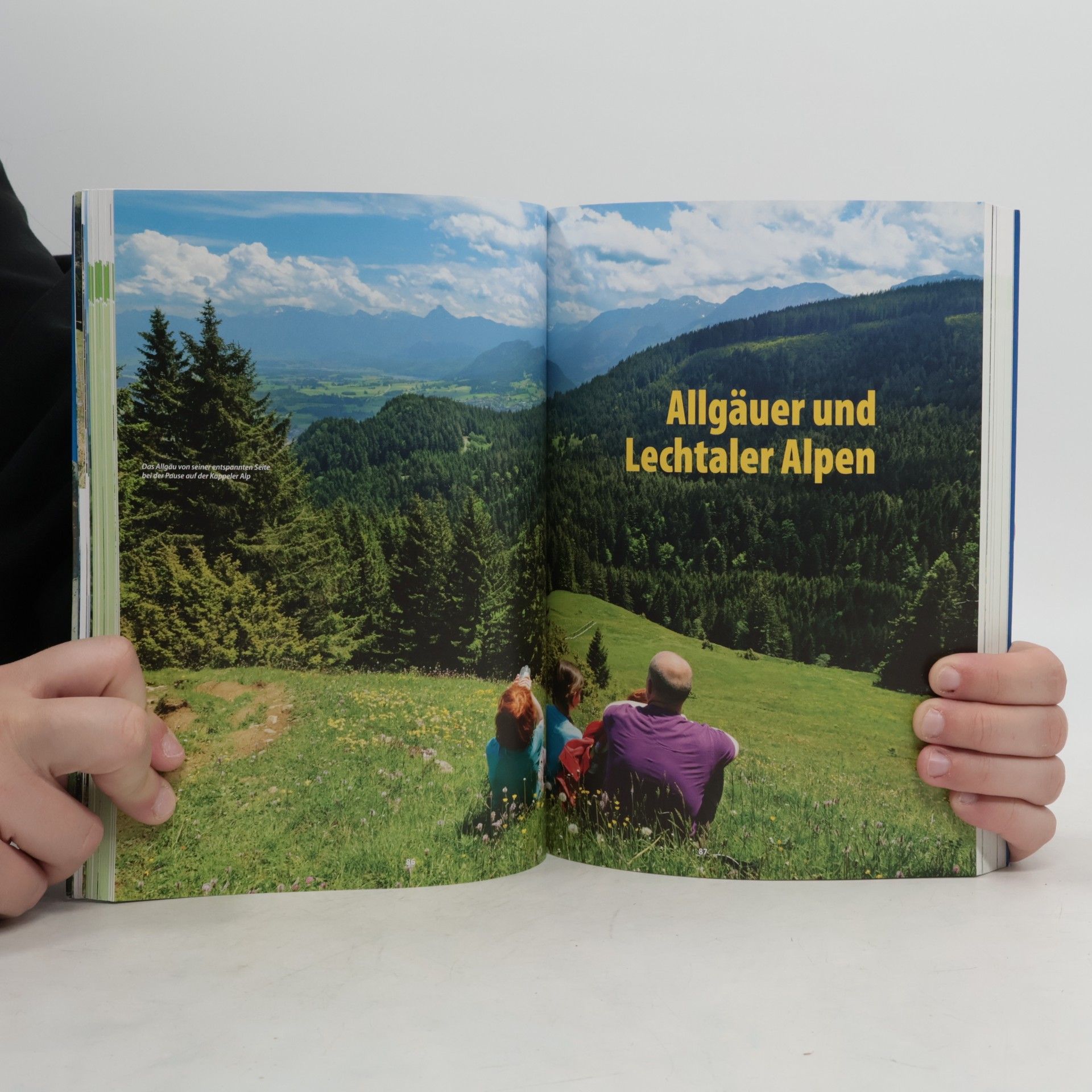 Bernhard Irlinger Das neue Familien Wanderbuch Alpen