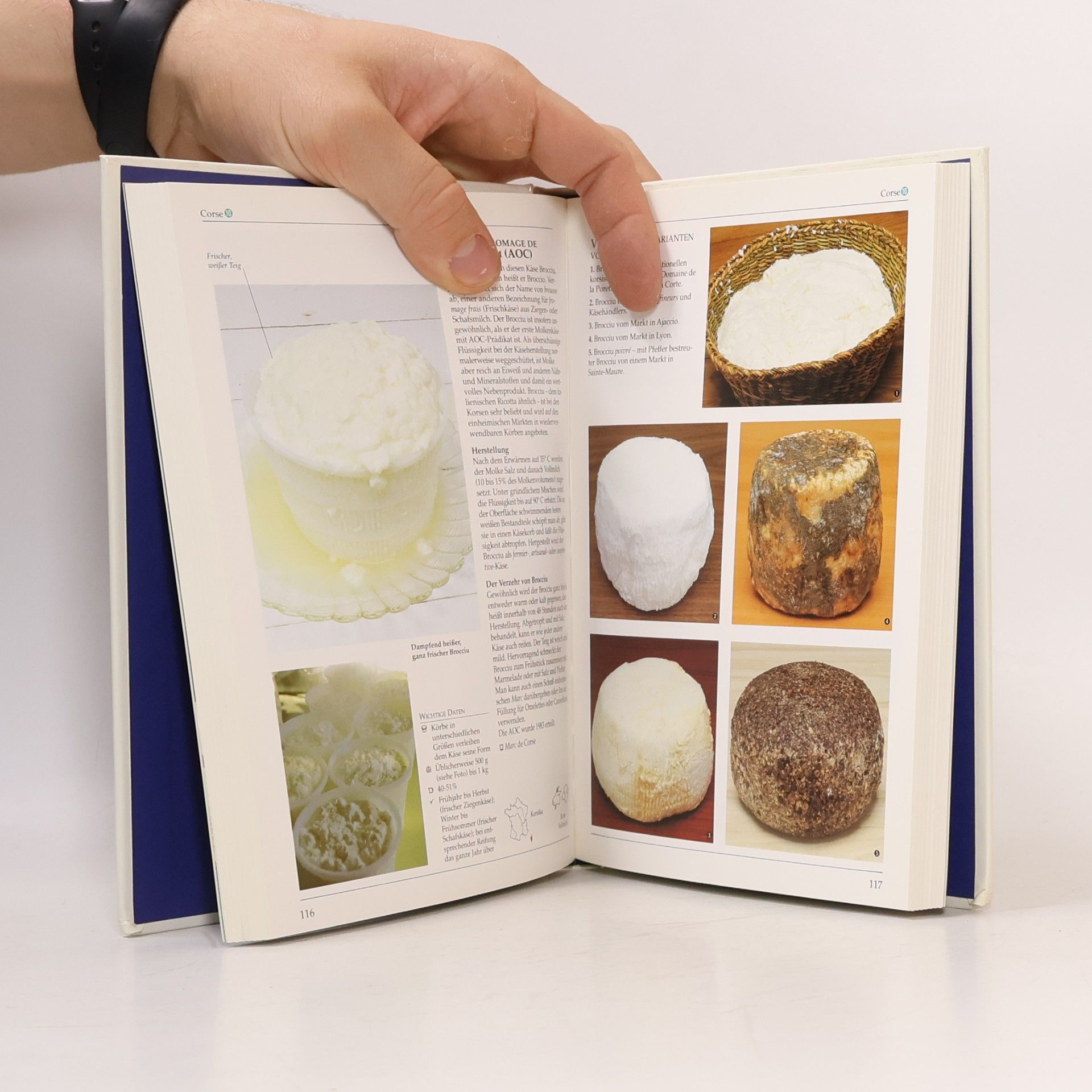 Kazuko Masui Französischer Käse