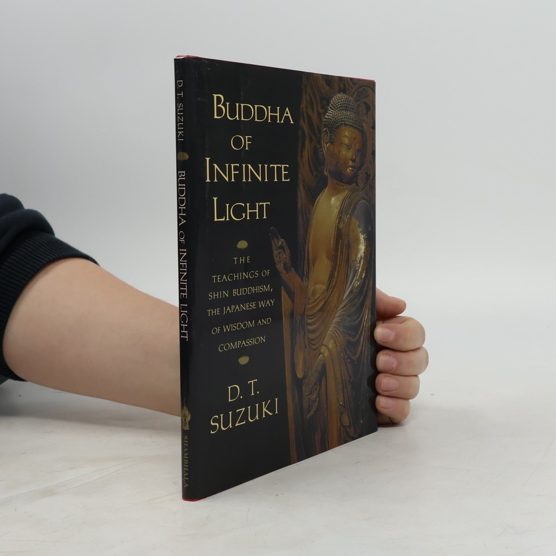 Taitetsu Unno Buddha of Infinite Light