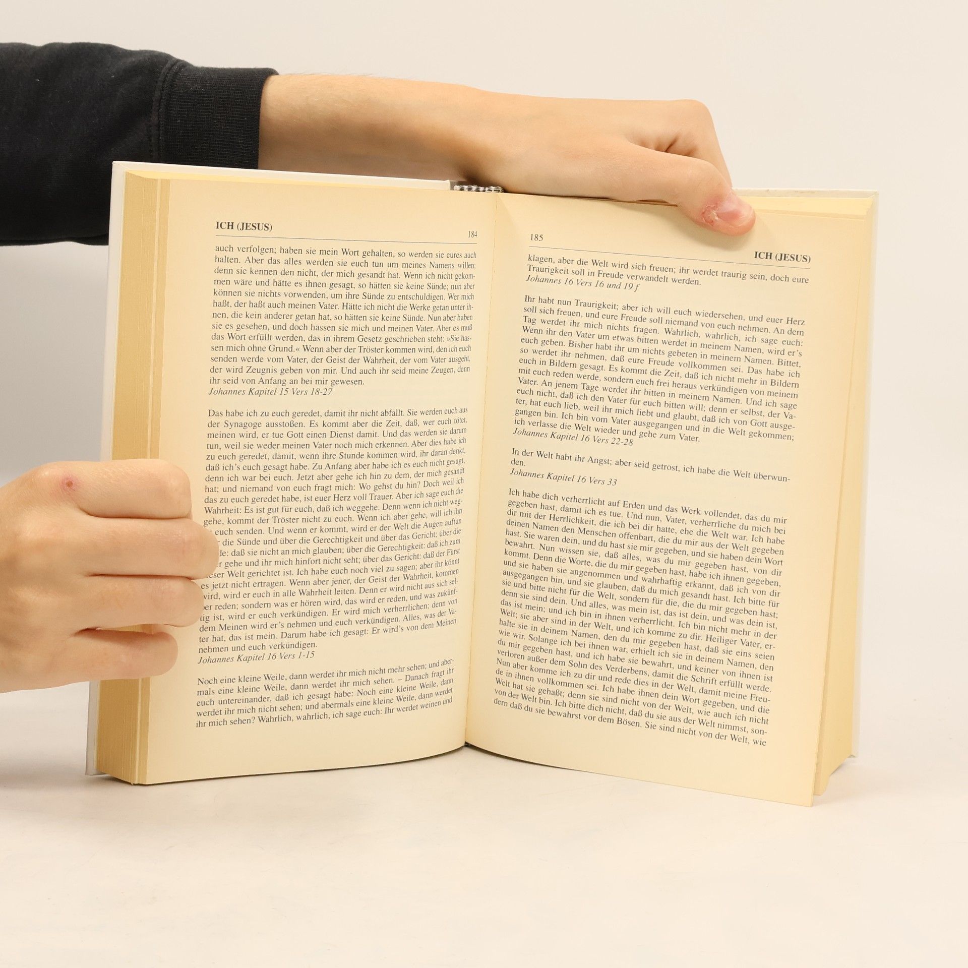 Albert Buchwald Alle Jesusworte von A bis Z