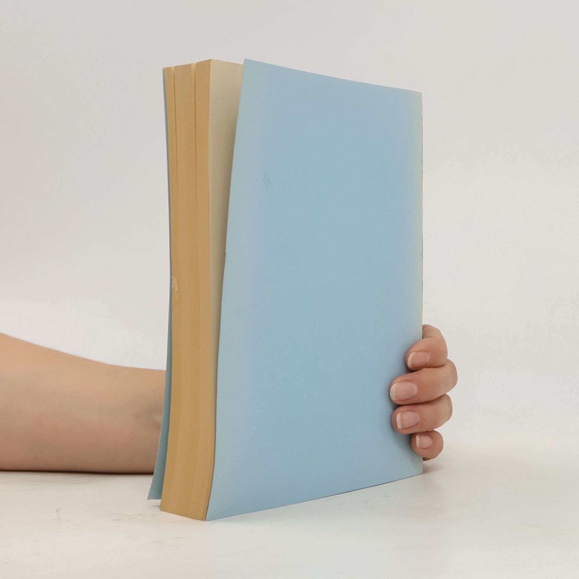 Hélène Roussel . Conceptions et pratiques du quotidien des émigrés allemands en France Konzepte und Praxis der Tageszeitung der deutschen Emigranten in Frankreich