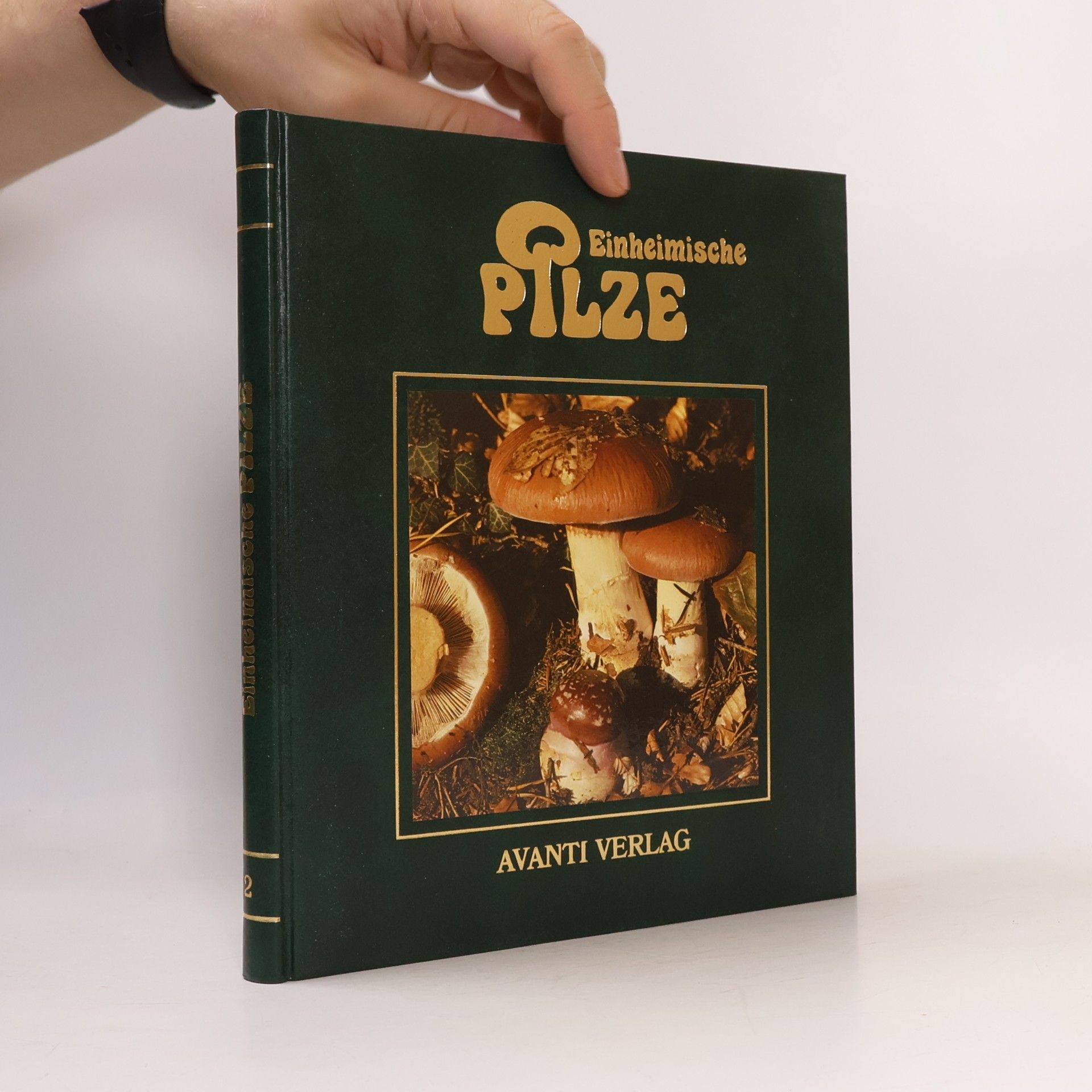 Autorenkollektiv Einheimische Pilze 2