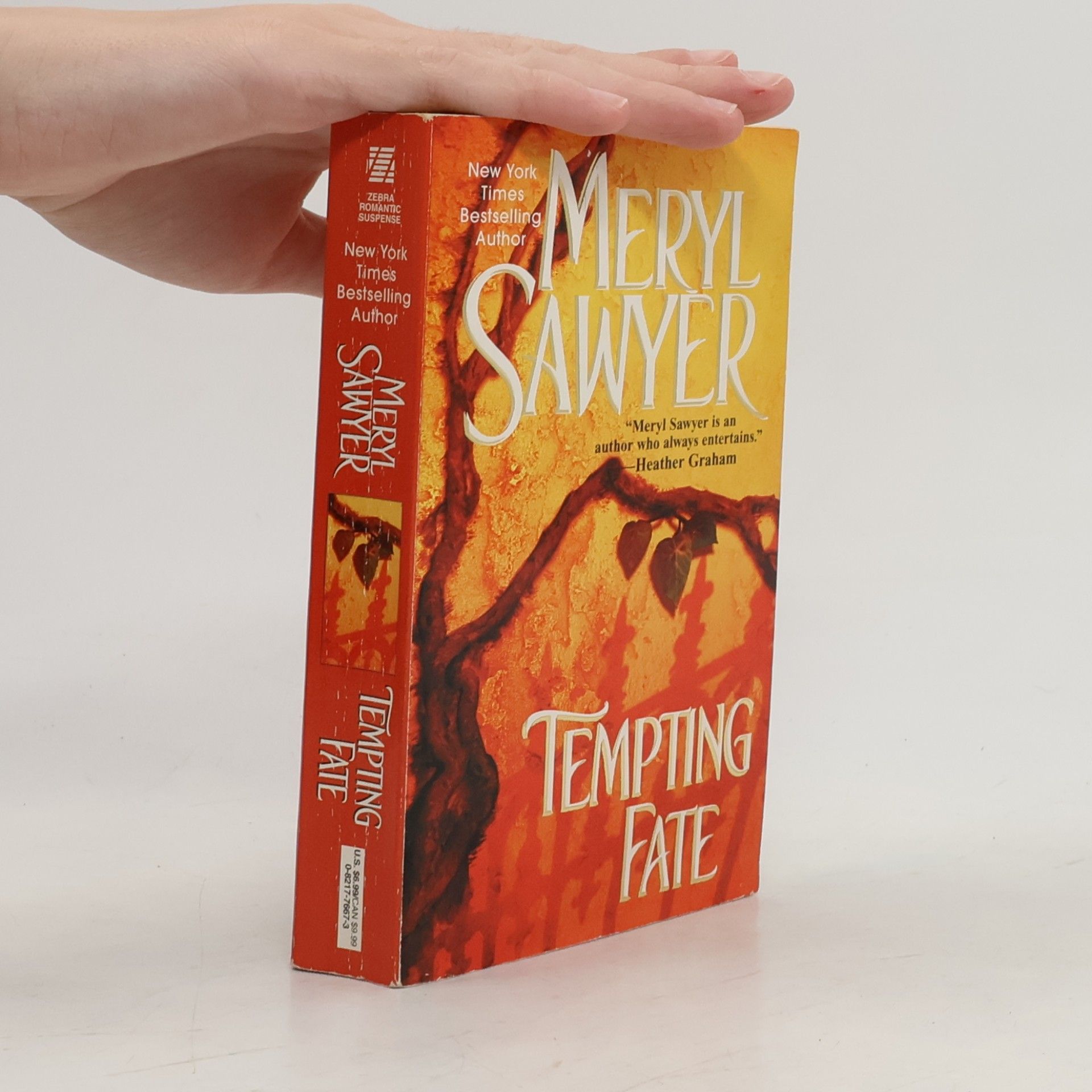 Meryl Sawyer Tempting Fate