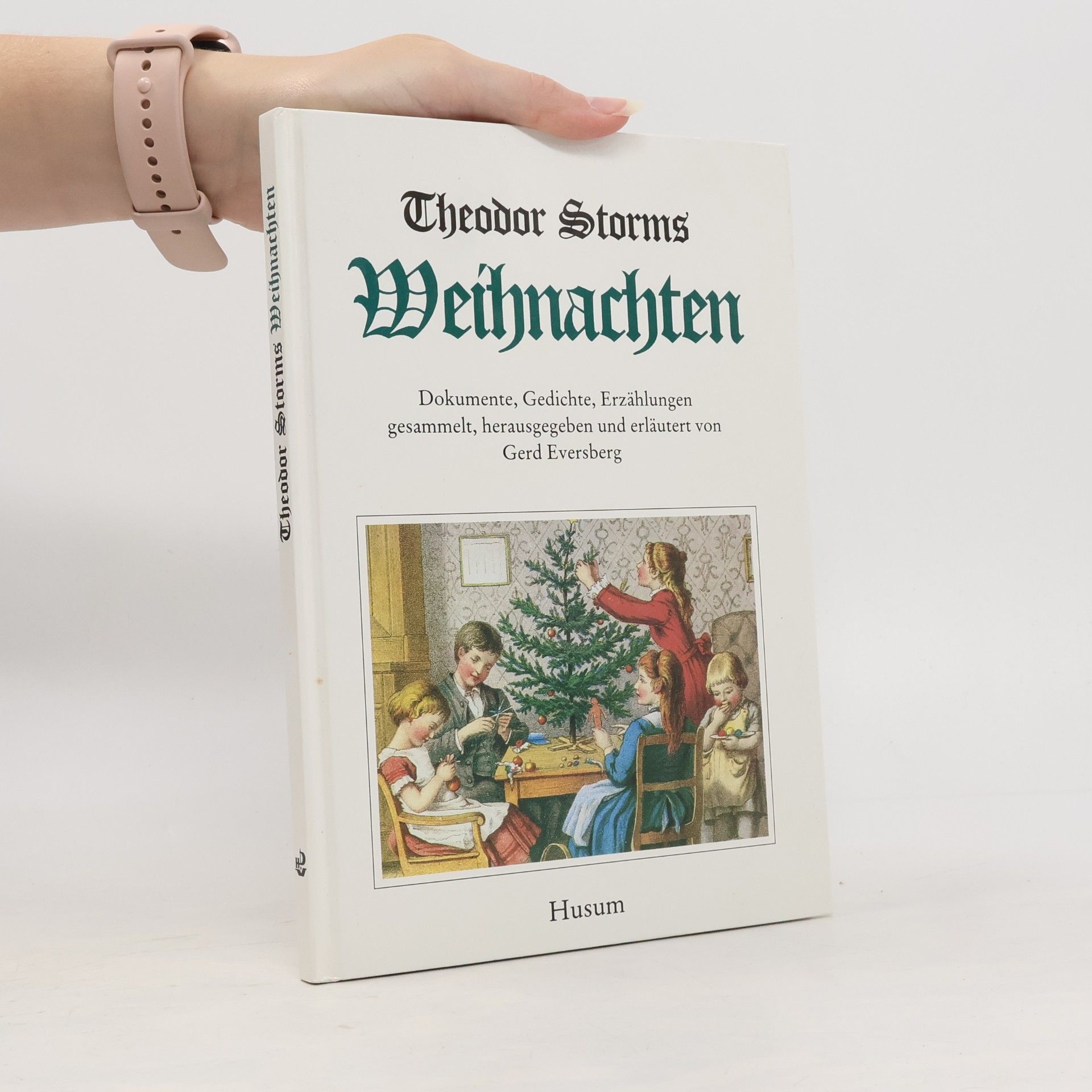 Gerd Eversberg Theodor Storms Weihnachten