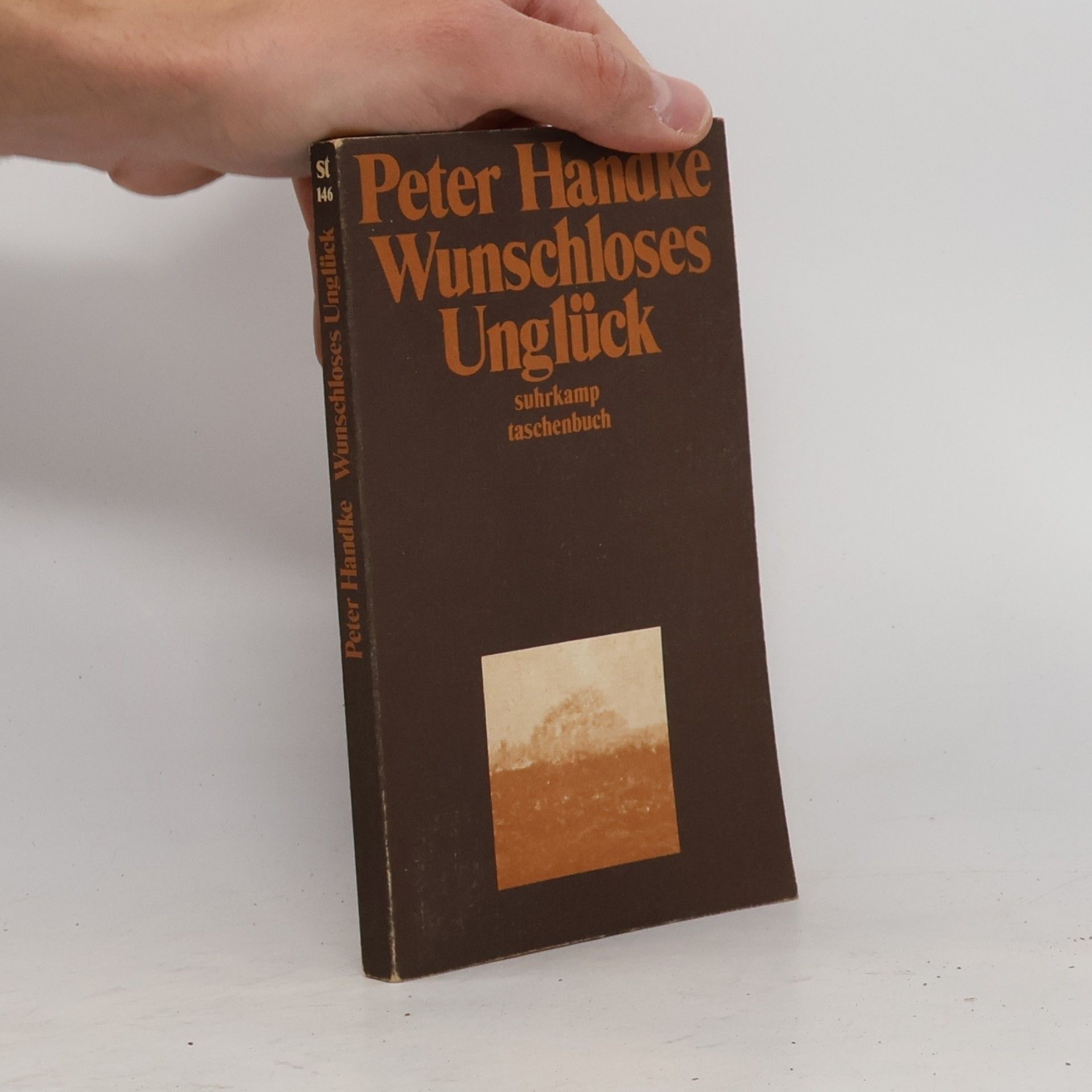 Peter Handke Wunschloses Unglück
