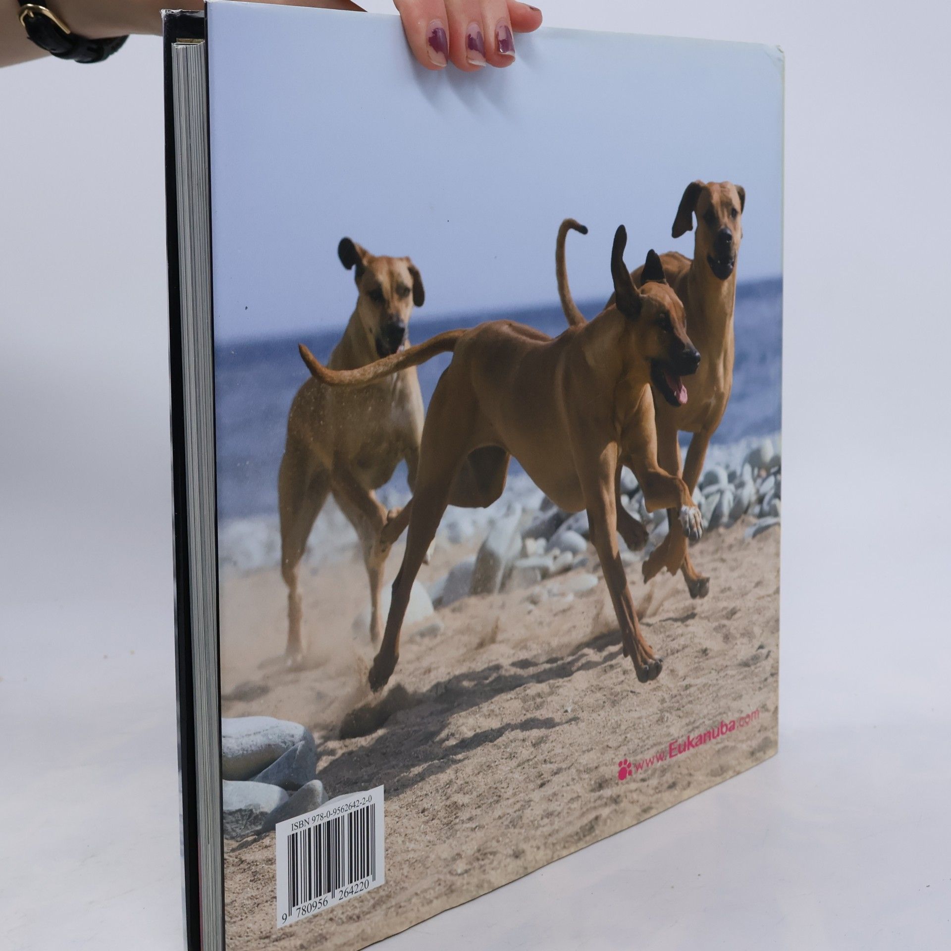 Collectif d'auteurs Dogs H-Z : Hunde, chiens, cani, perros, honden