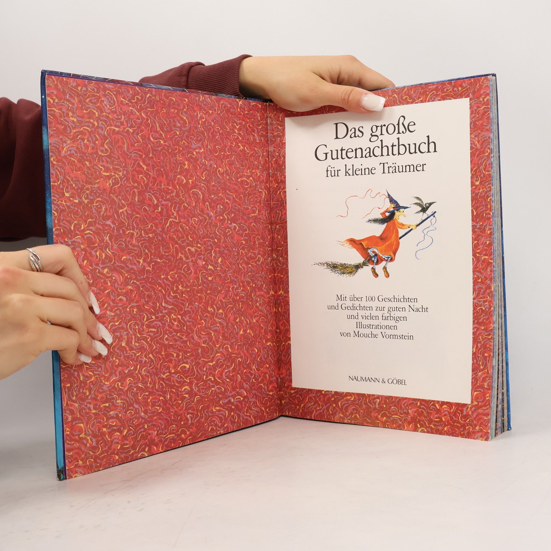 Mouche Vormstein Das große Gutenachtbuch