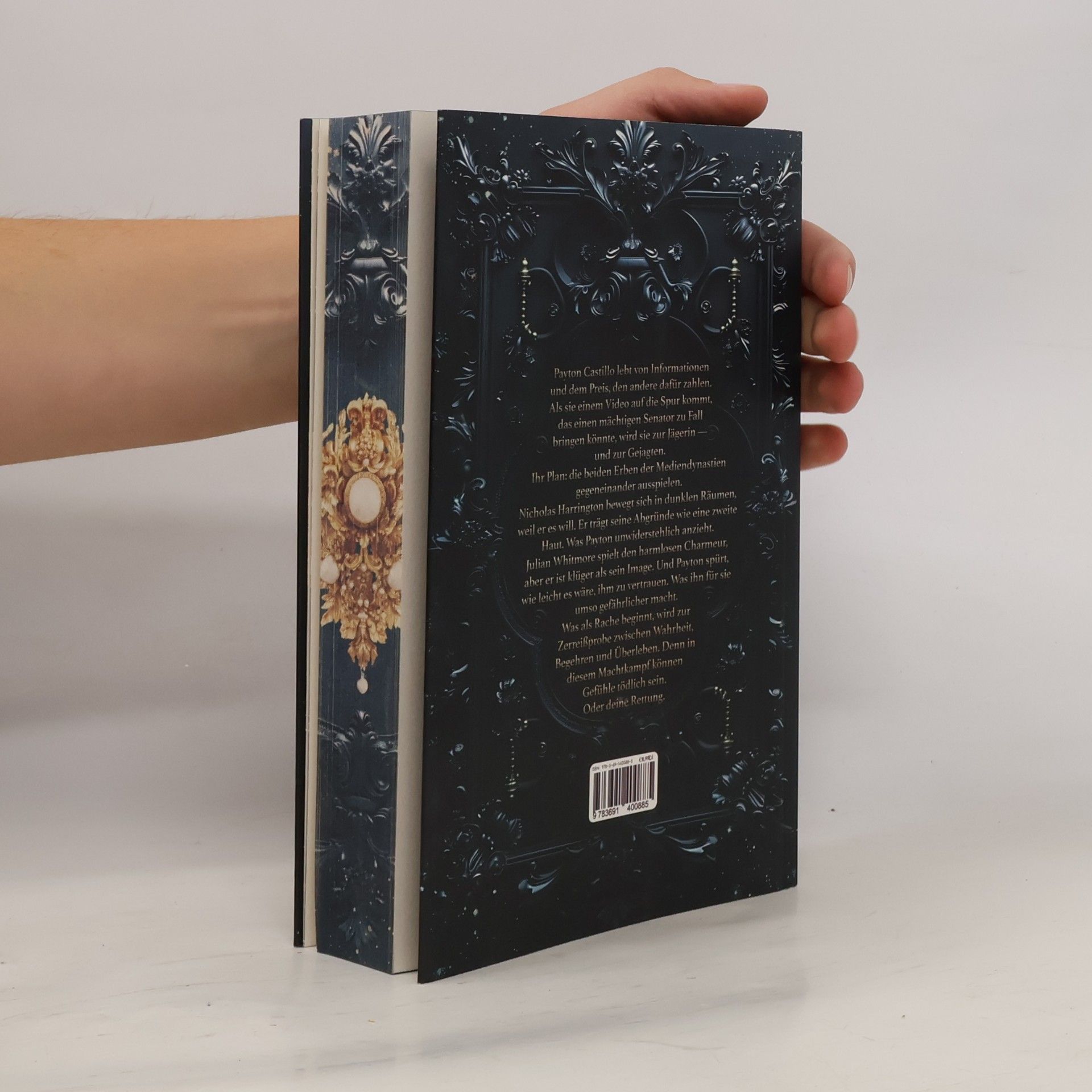 Katie McLane Sins of Power - Lies & Betrrayal