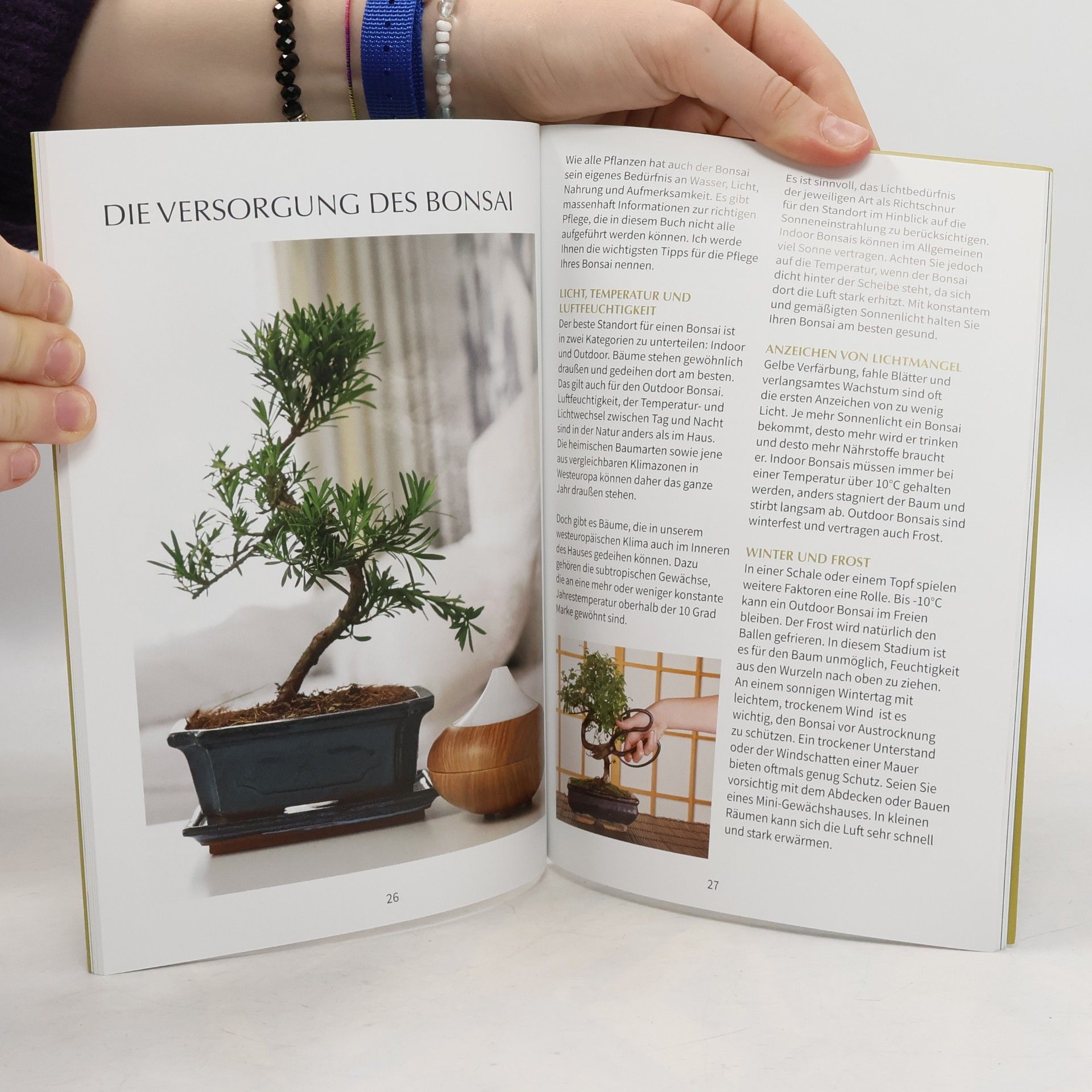 Chris van der Velde Bonsai