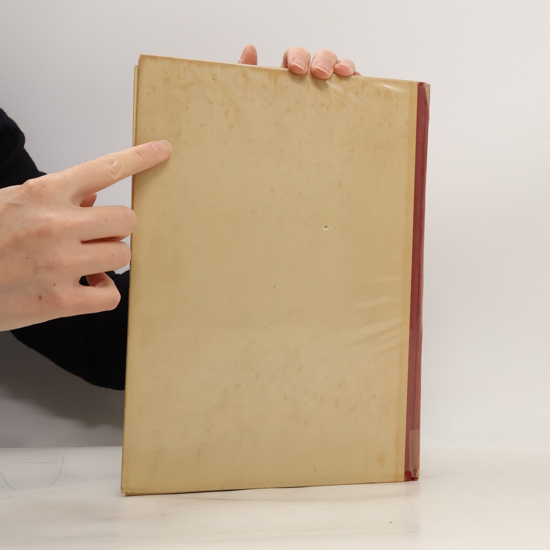 Rudolph Franz Brauner Aus der werkstatt der komponisten