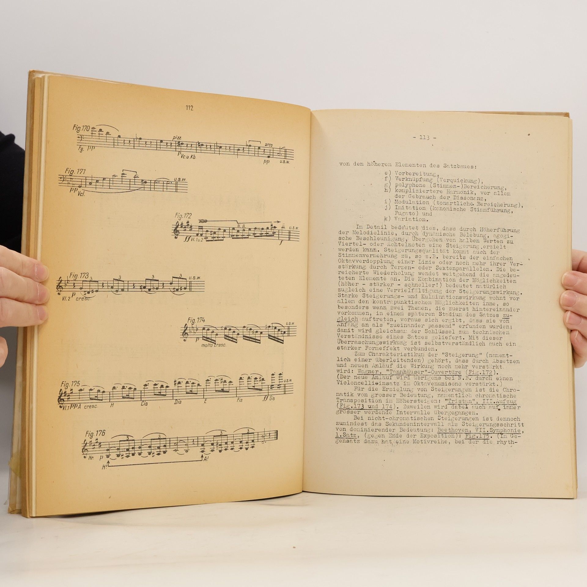 Rudolph Franz Brauner Aus der werkstatt der komponisten