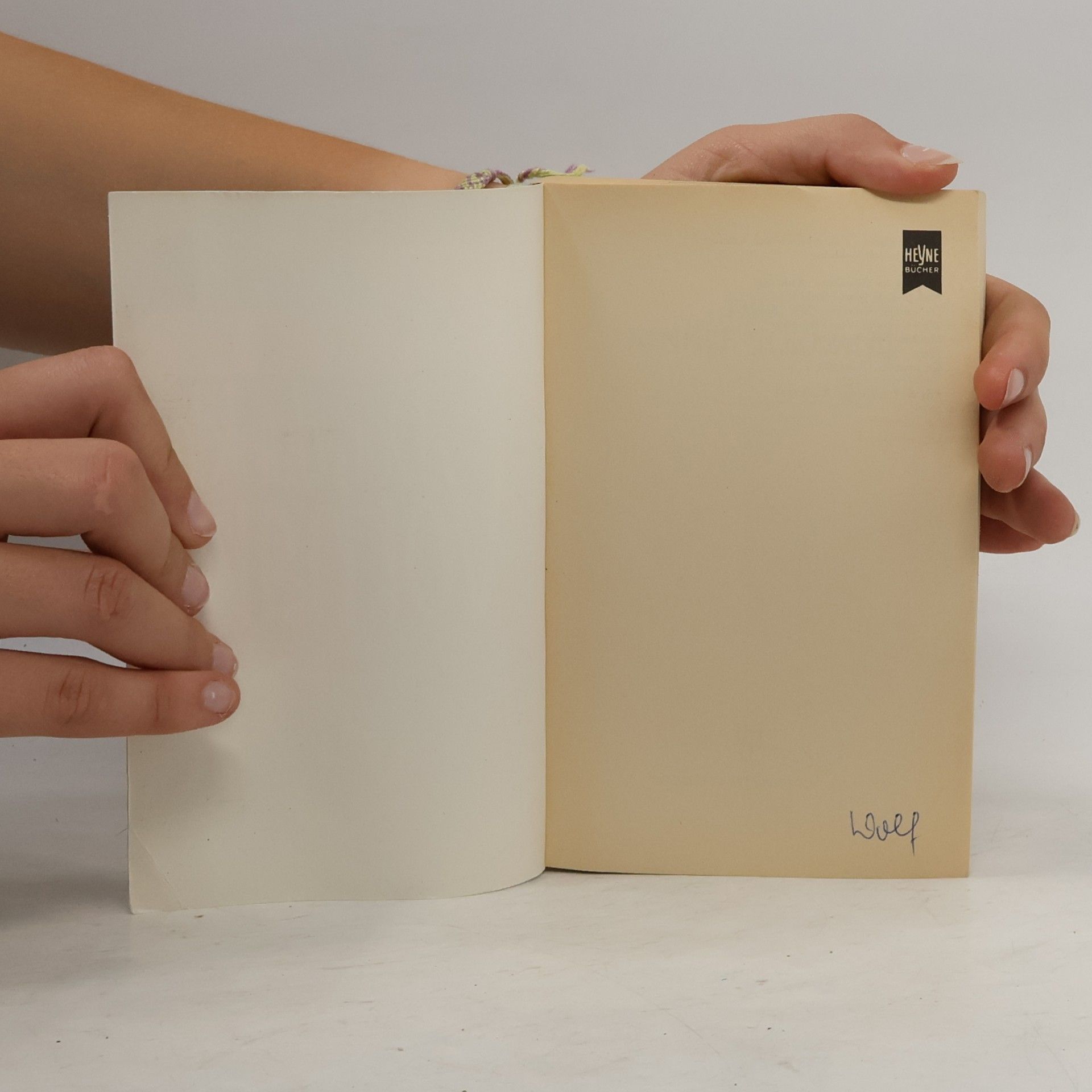 Joy Petersen Packer Der dunkle Vorhang