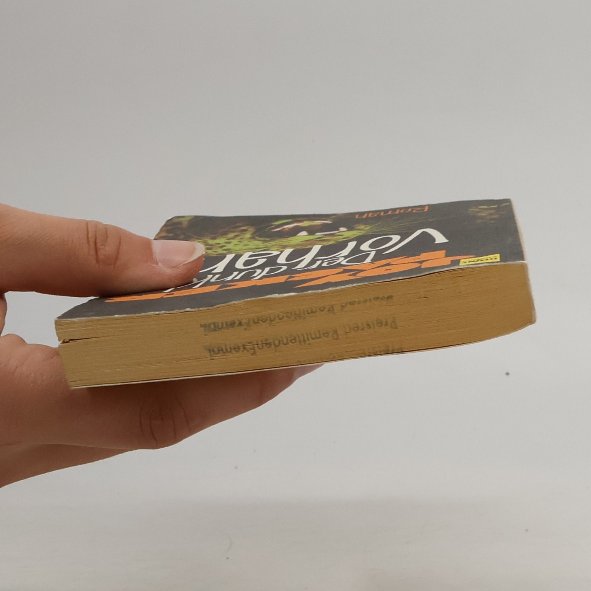 Joy Petersen Packer Der dunkle Vorhang