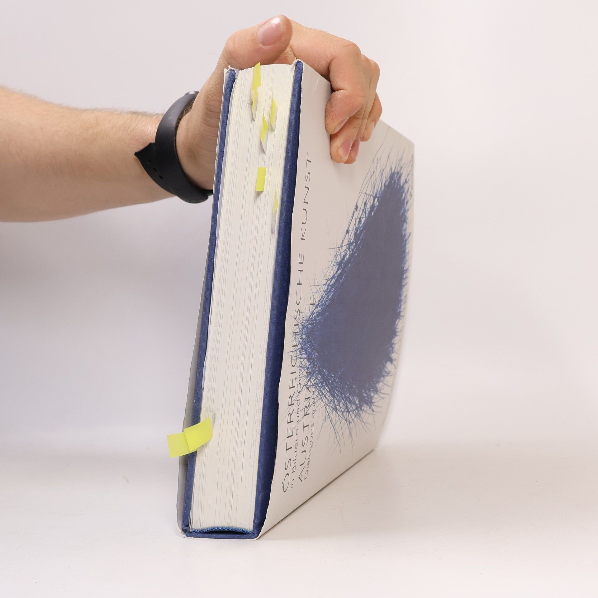 Elisabeth Olivares Díaz Österreichische Kunst in Bildern und Gesprächen