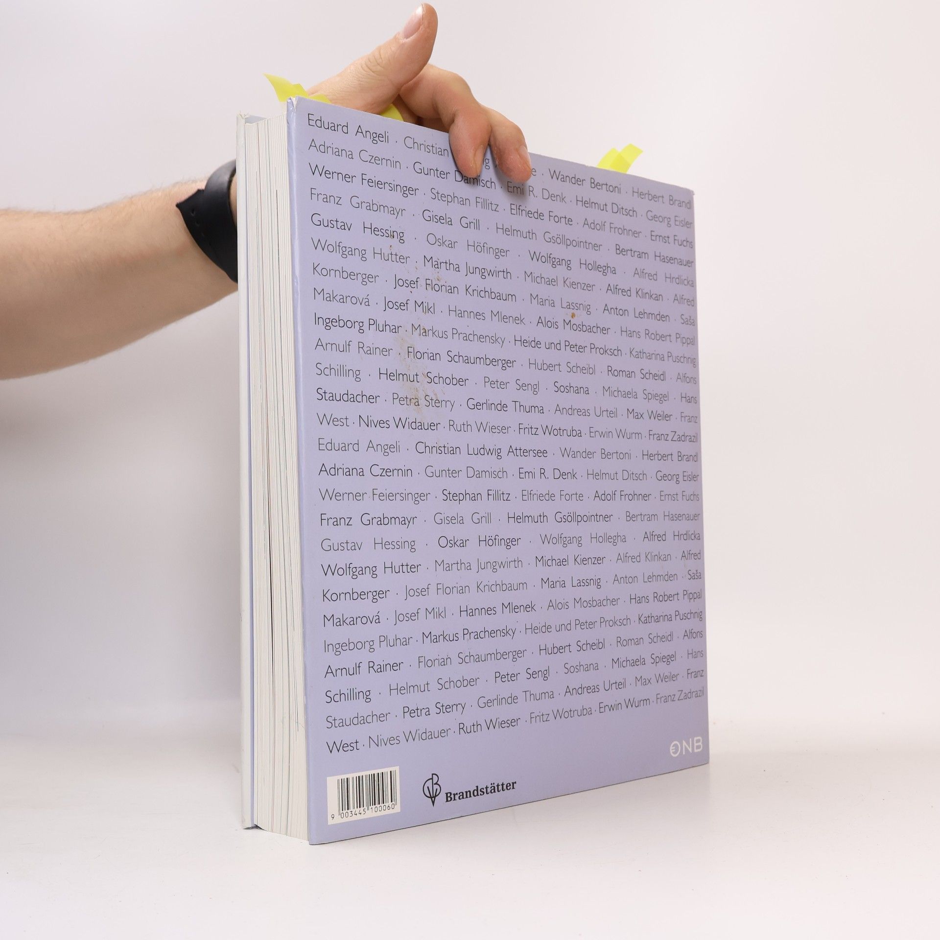 Elisabeth Olivares Díaz Österreichische Kunst in Bildern und Gesprächen