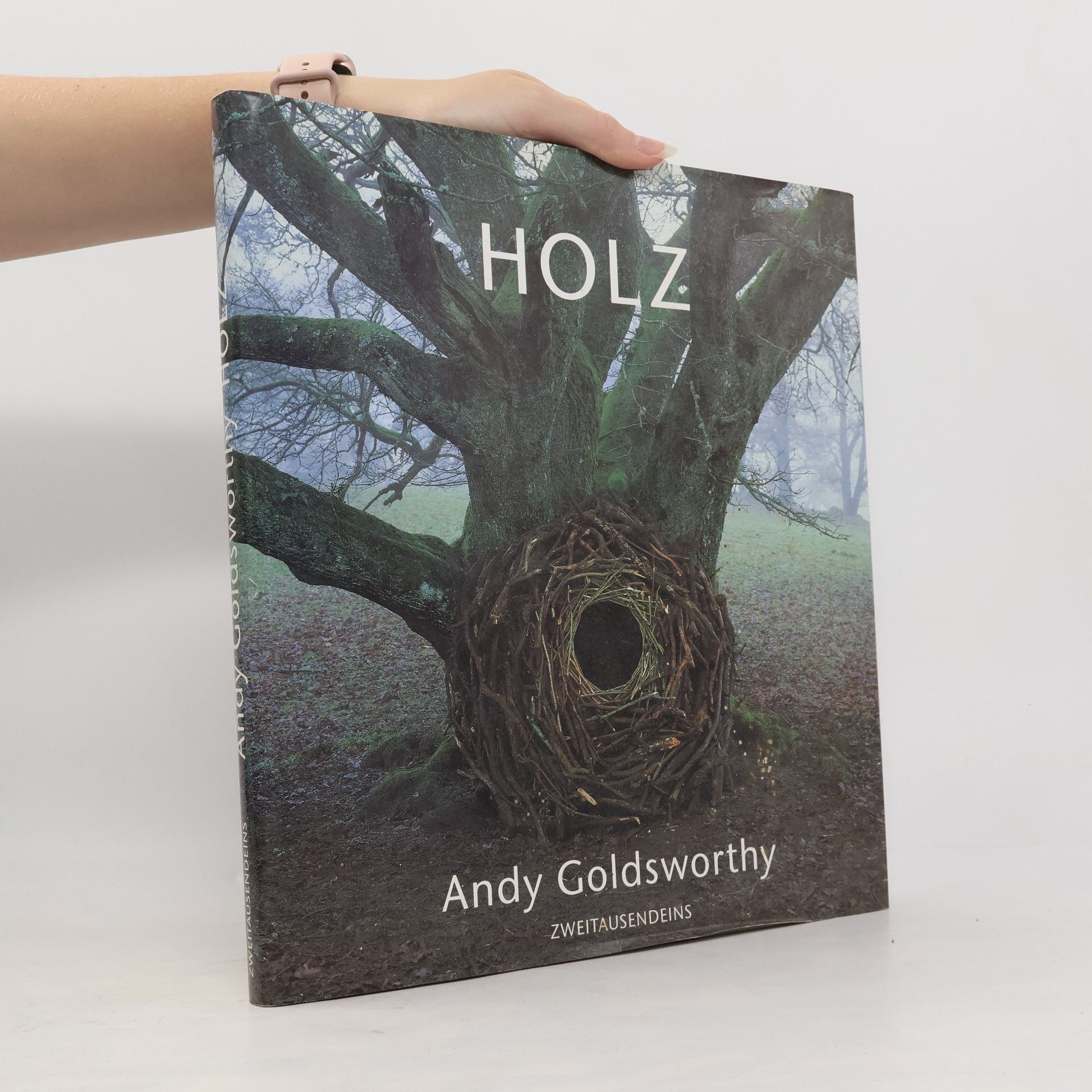 Andy Goldsworthy Holz