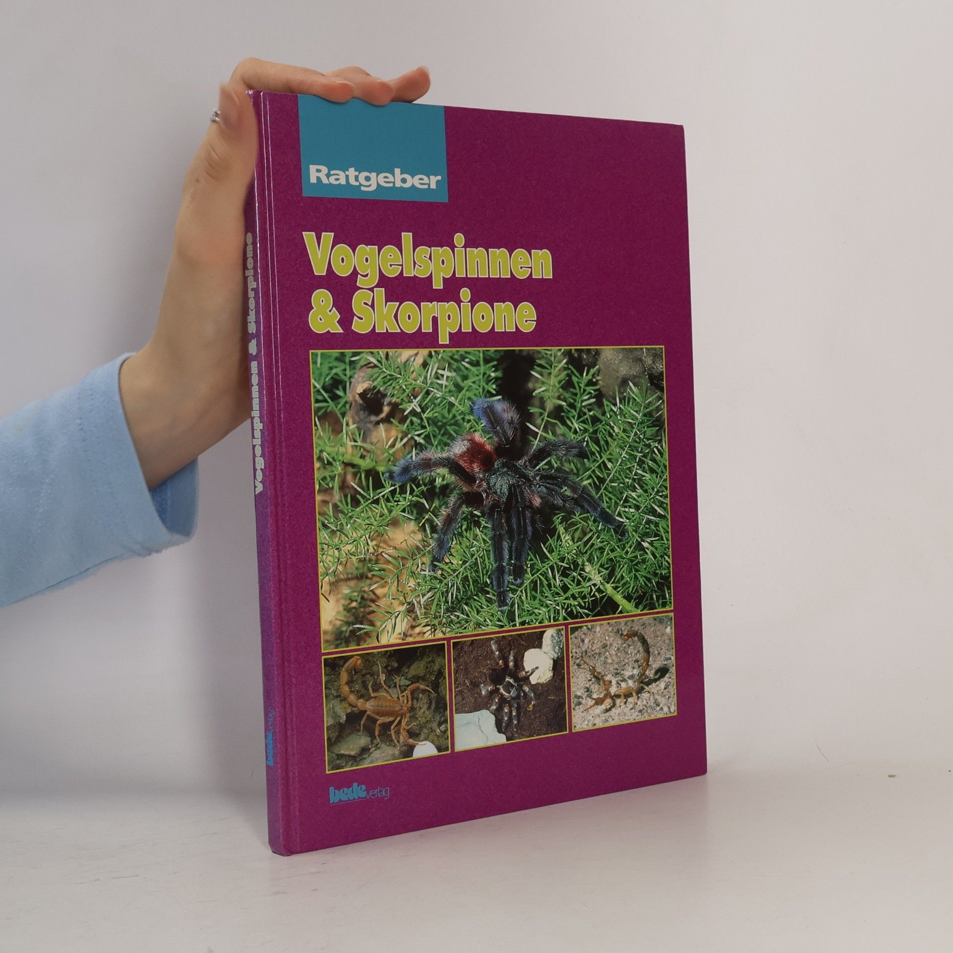 kolektiv Vogelspinnen & Skorpione