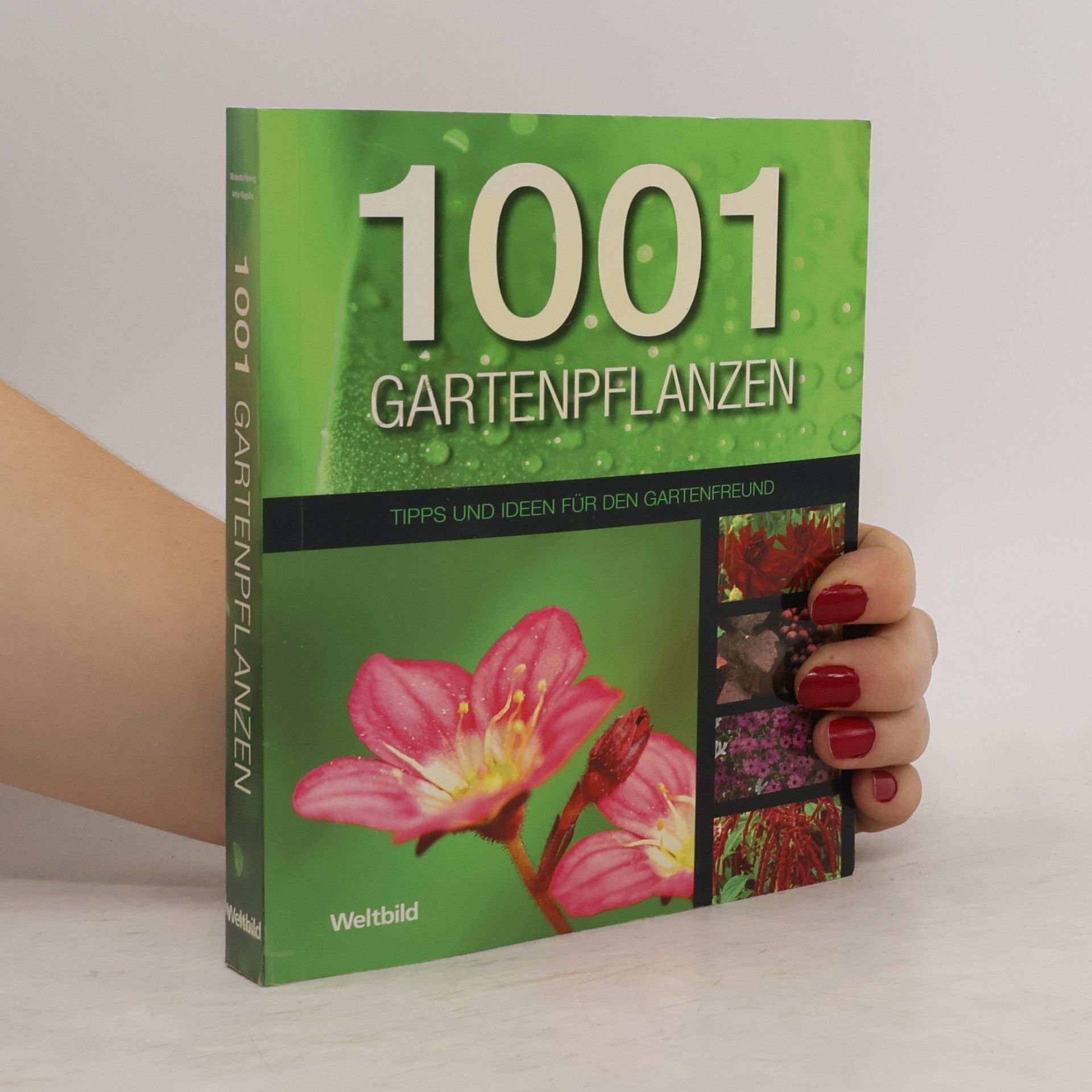 Various authors 1001 Gartenpflanzen