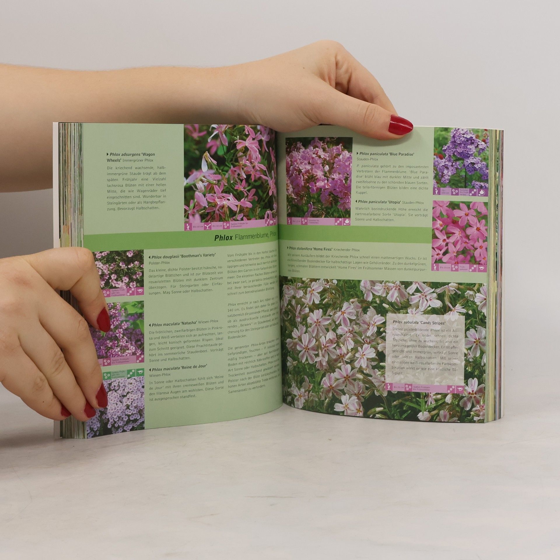 Kolektiv autorů 1001 Gartenpflanzen